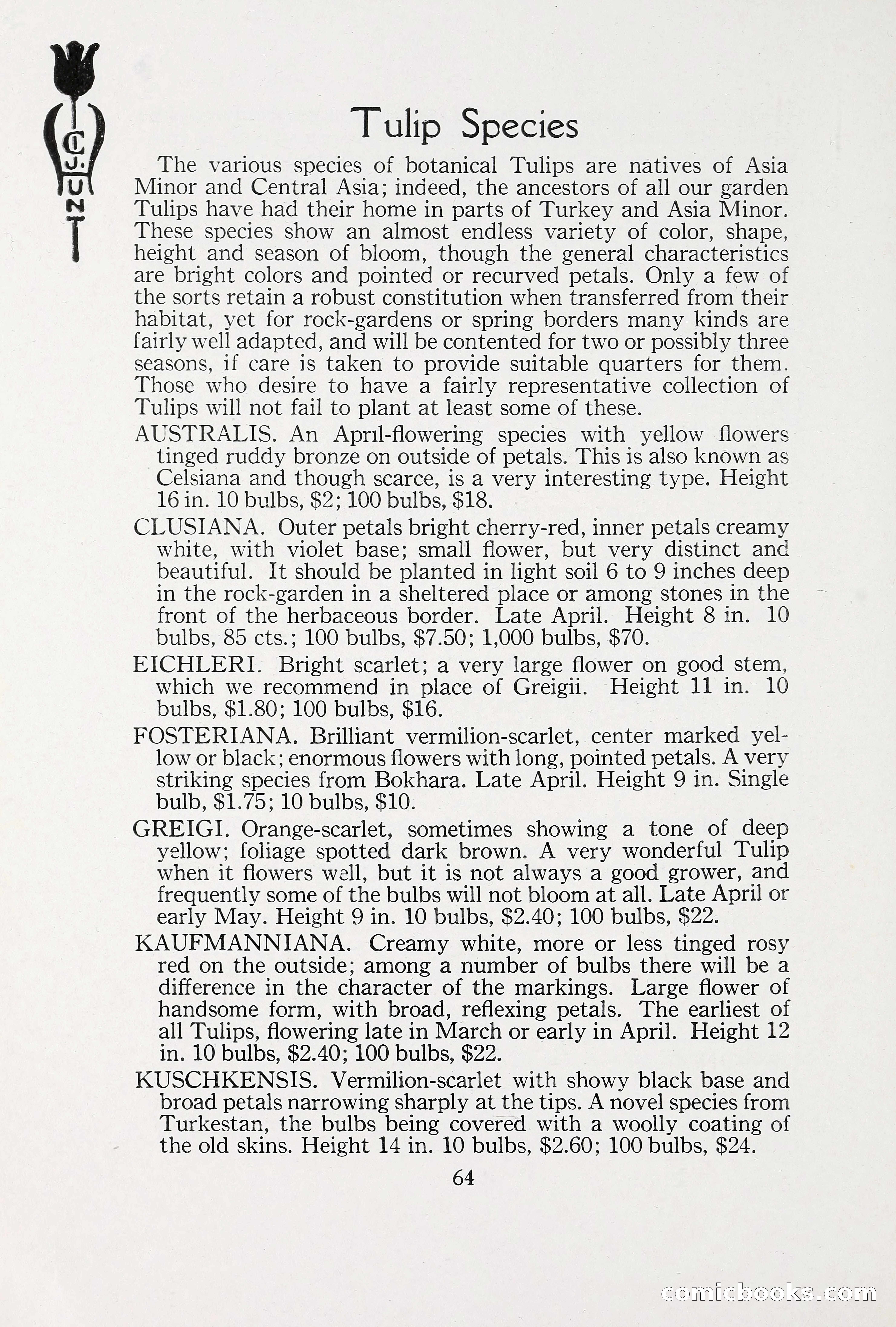 Blue Book of Bulbs, 1930 — page 89 of 137