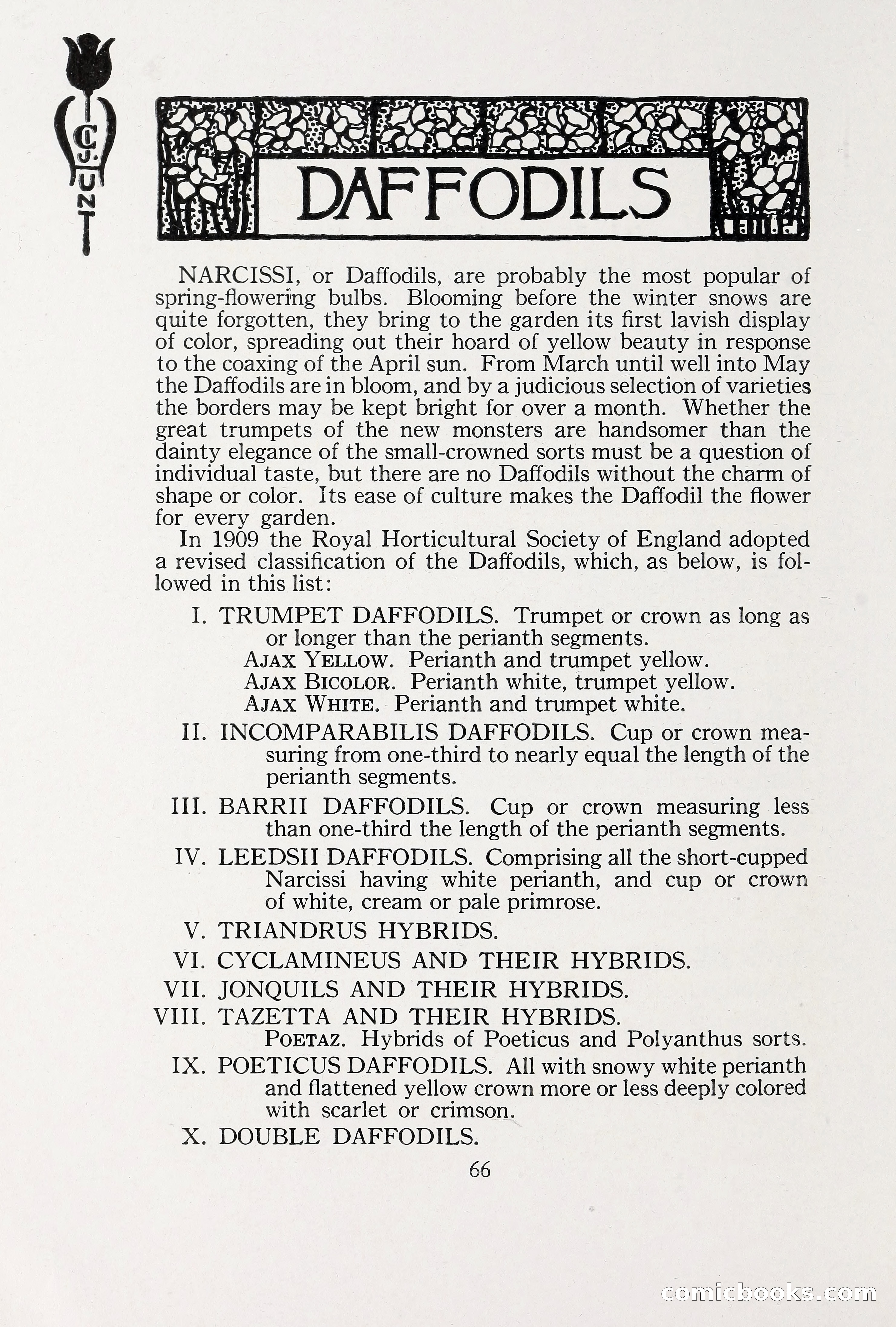 Blue Book of Bulbs, 1930 — page 91 of 137