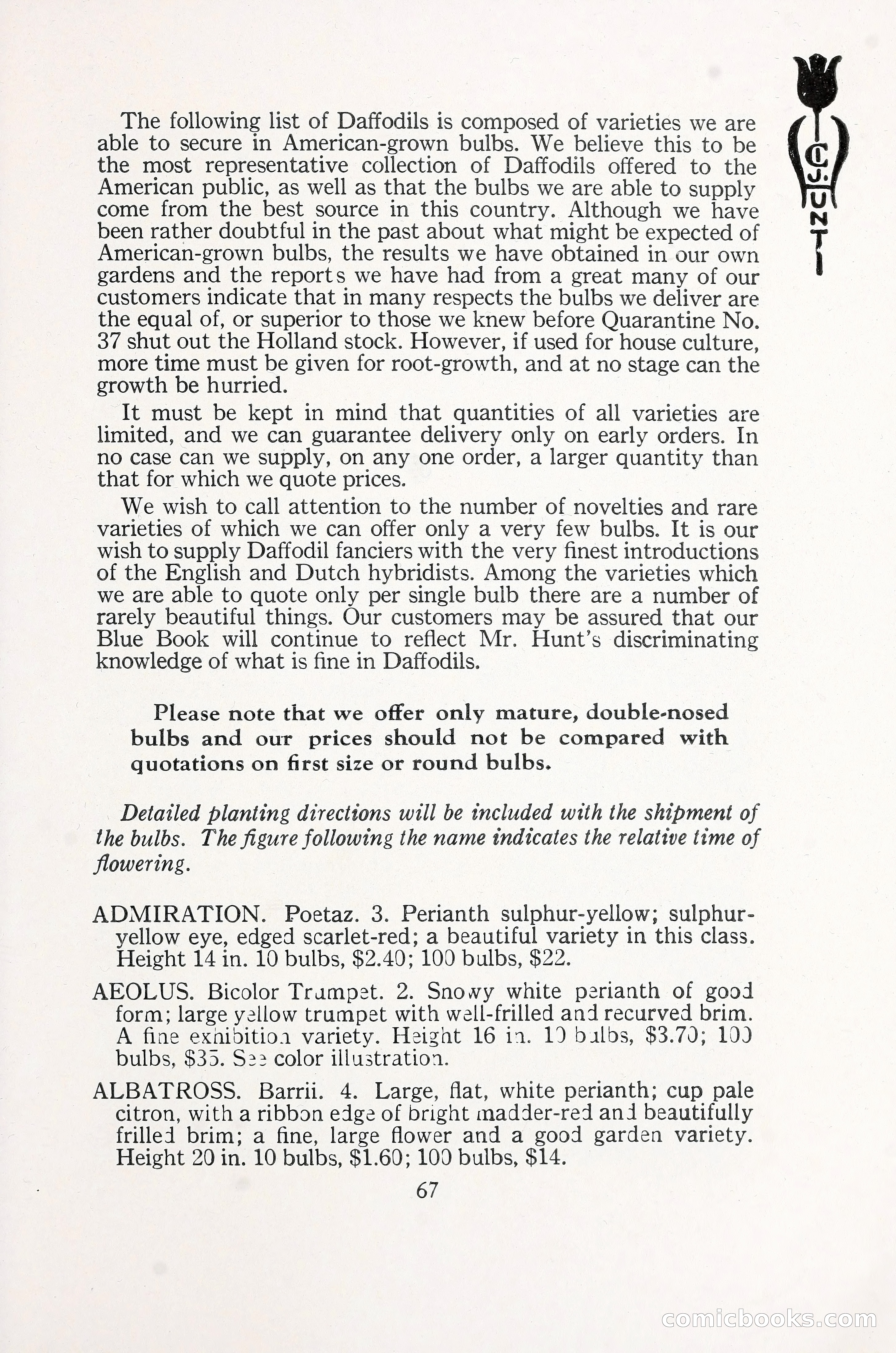 Blue Book of Bulbs, 1930 — page 96 of 137
