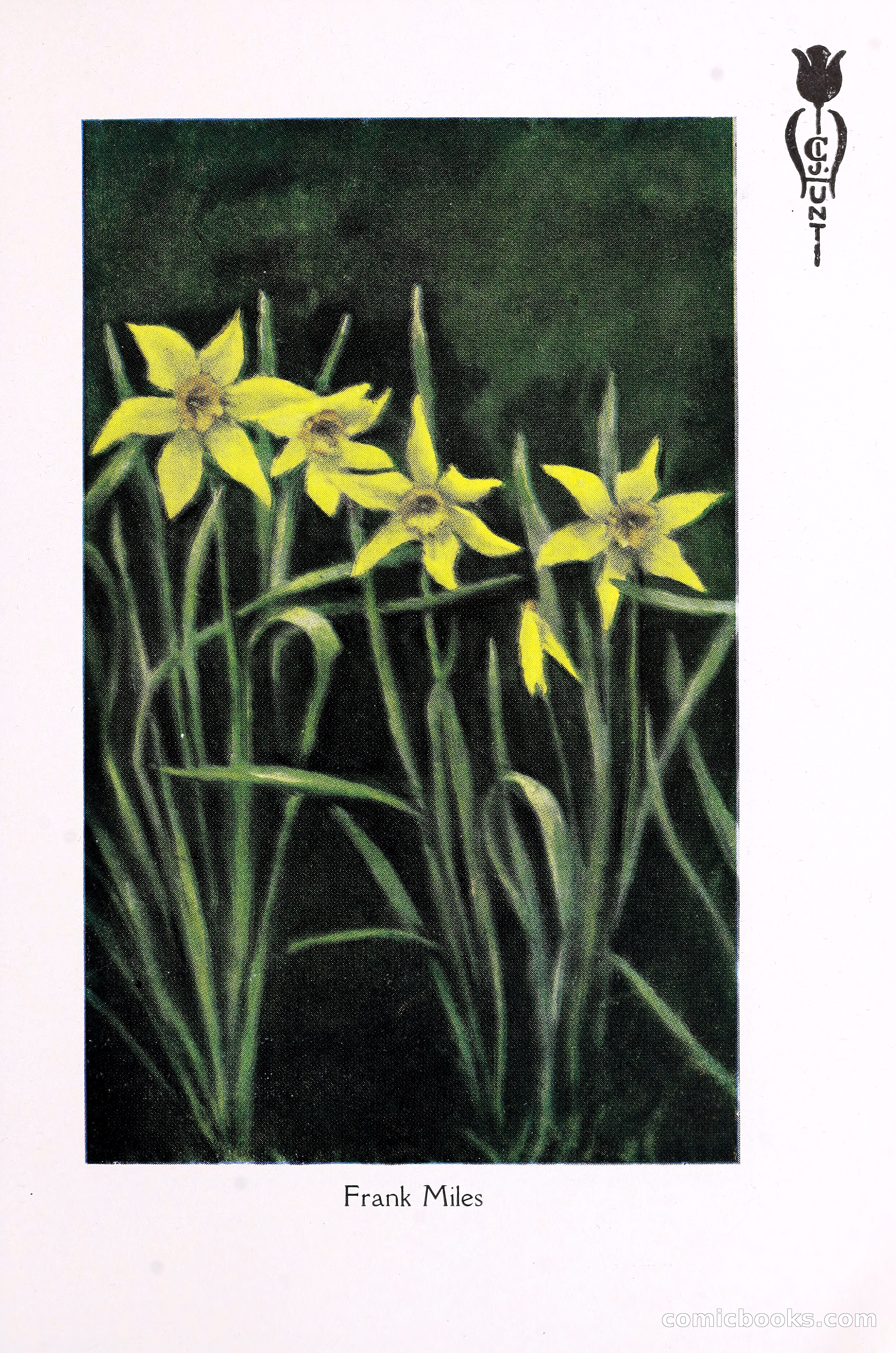 Blue Book of Bulbs, 1930 — page 98 of 137