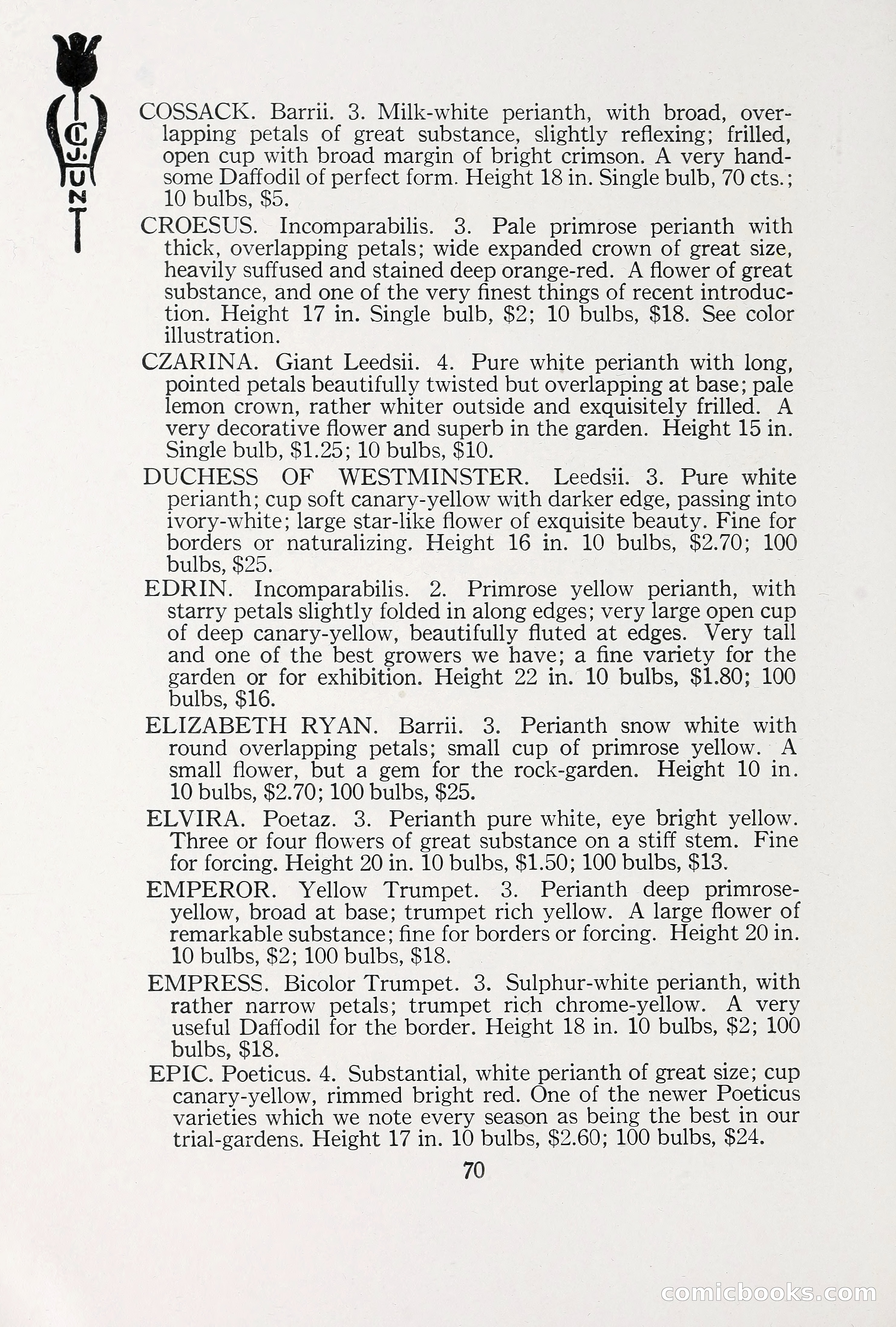 Blue Book of Bulbs, 1930 — page 101 of 137