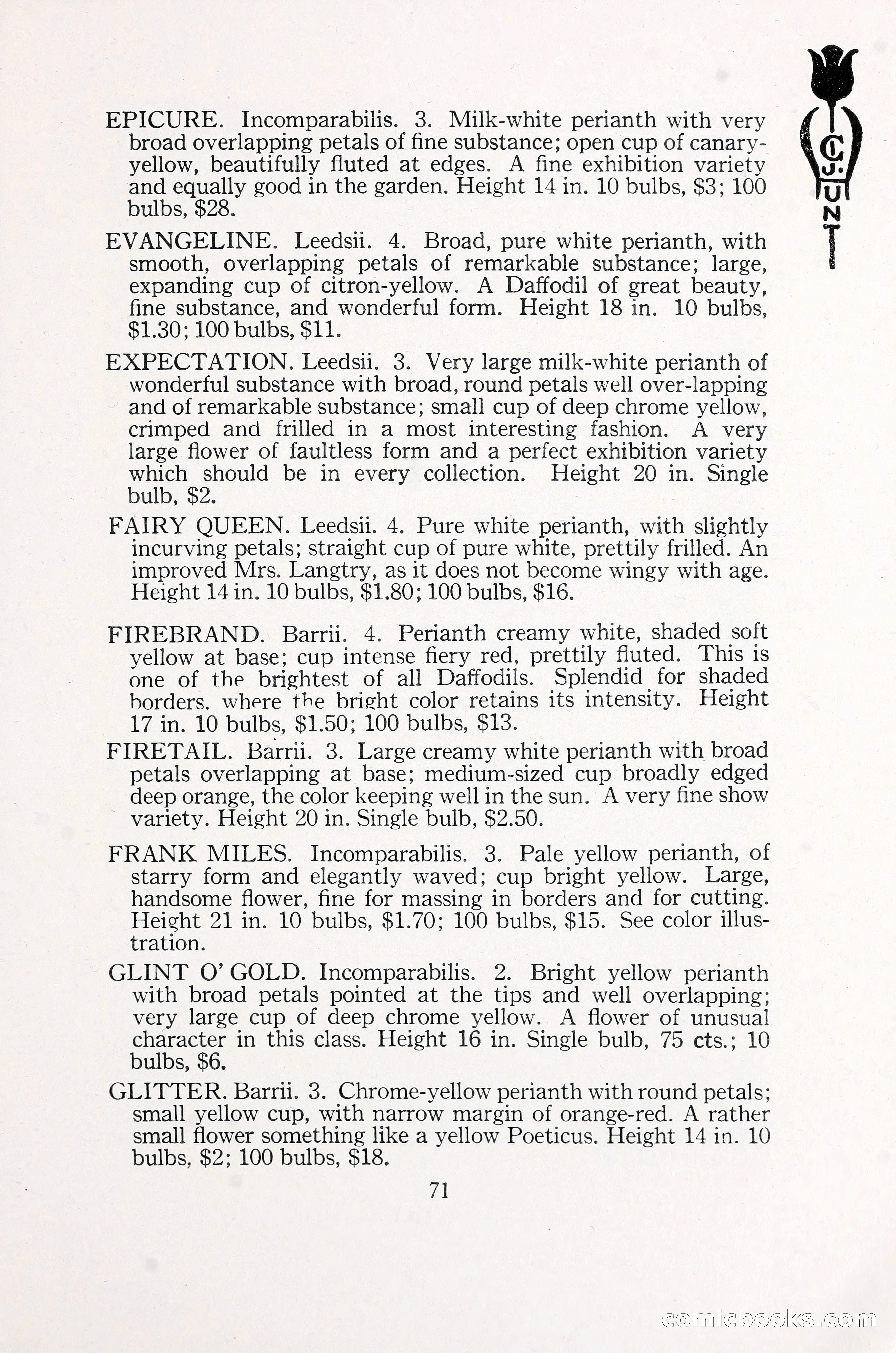 Blue Book of Bulbs, 1930 — page 104 of 137