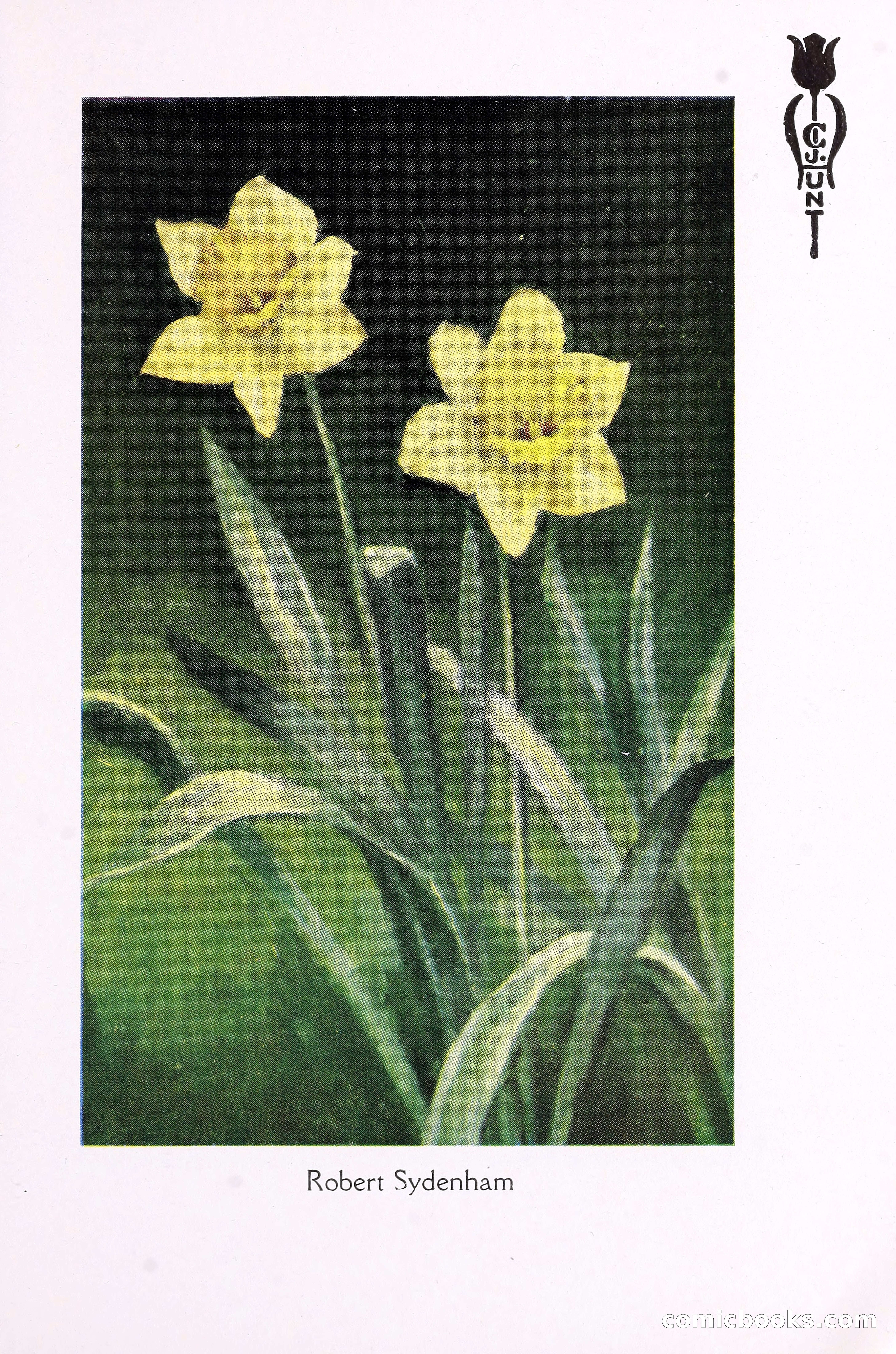 Blue Book of Bulbs, 1930 — page 110 of 137