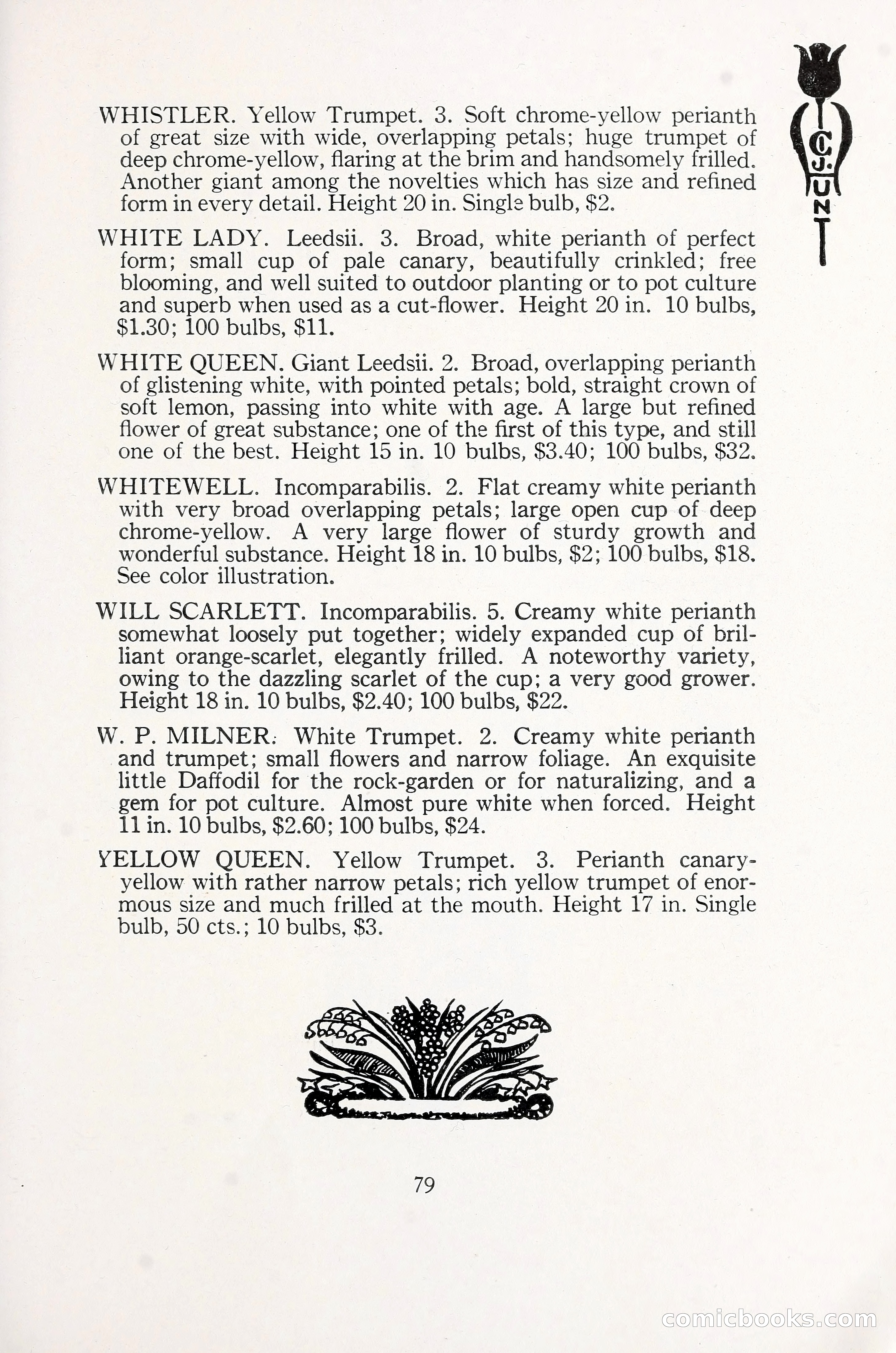 Blue Book of Bulbs, 1930 — page 120 of 137
