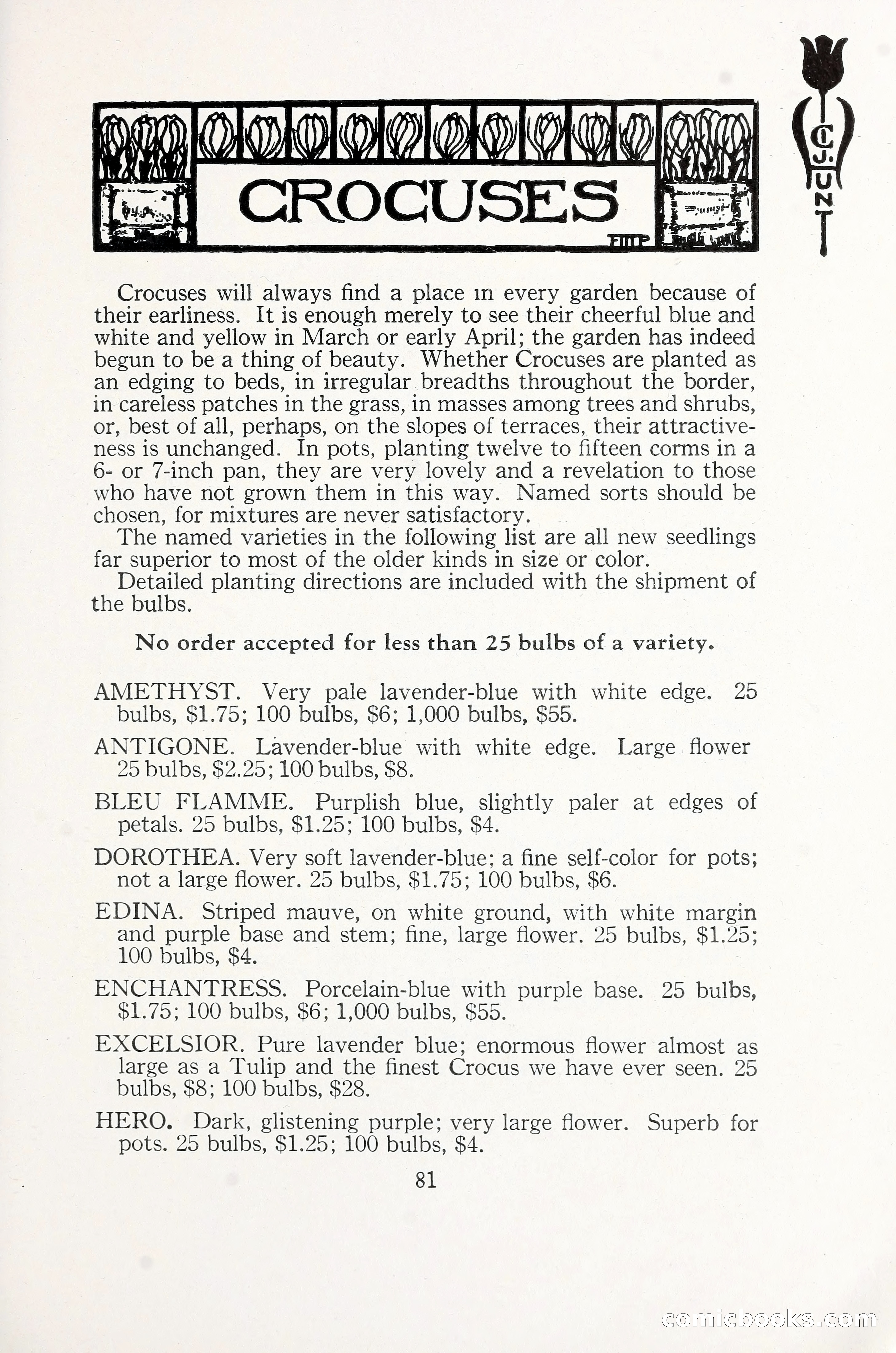 Blue Book of Bulbs, 1930 — page 122 of 137