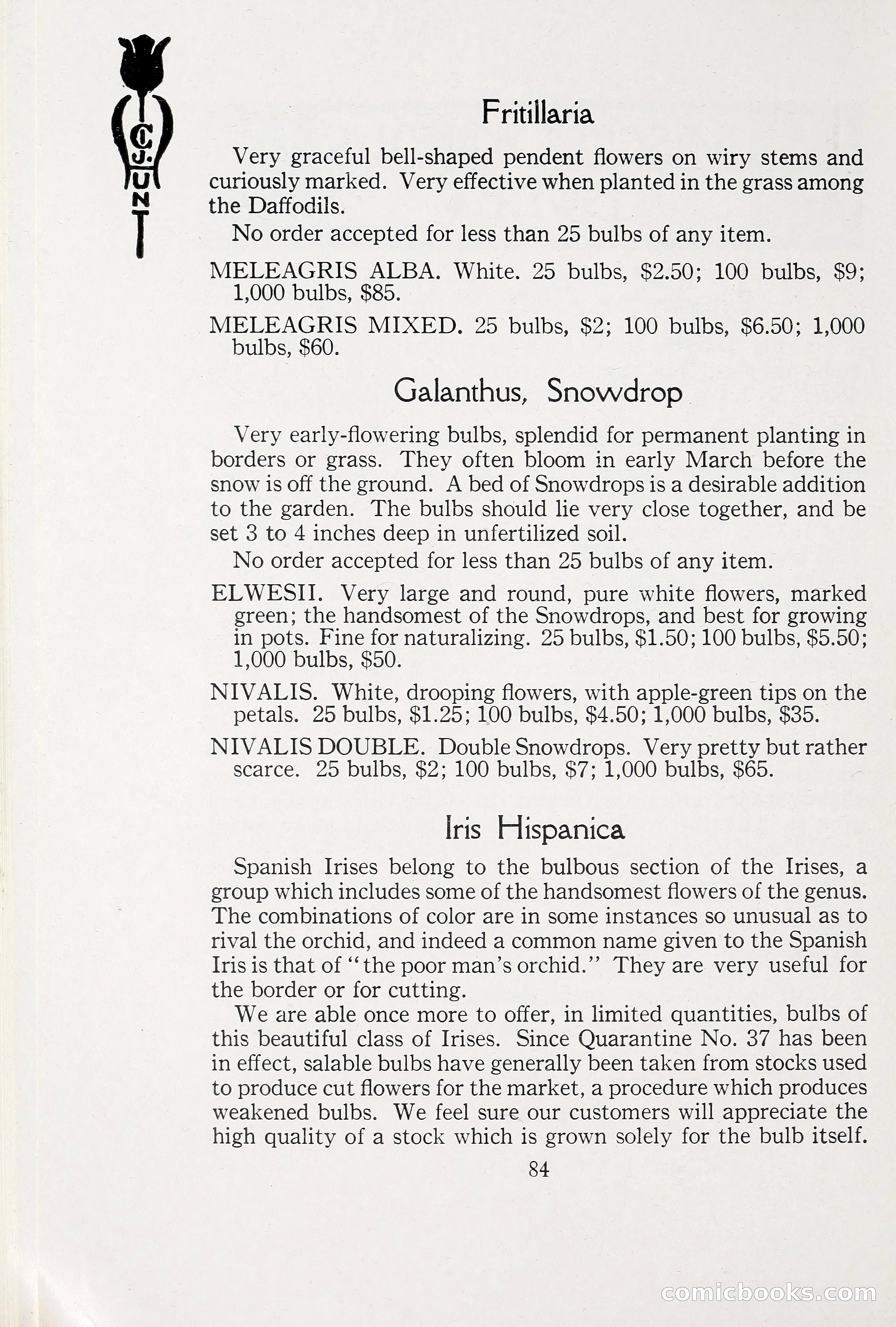 Blue Book of Bulbs, 1930 — page 125 of 137