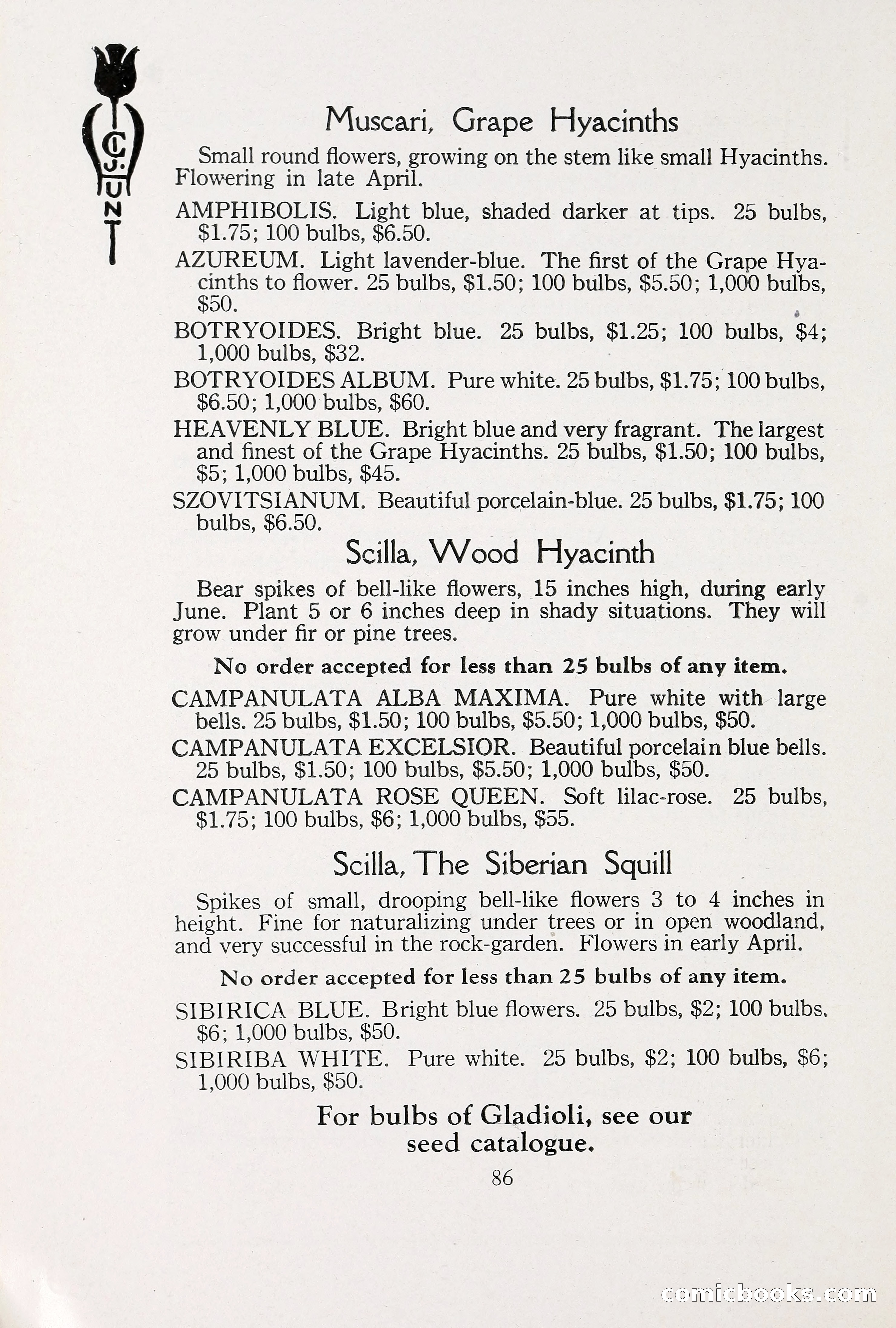 Blue Book of Bulbs, 1930 — page 127 of 137