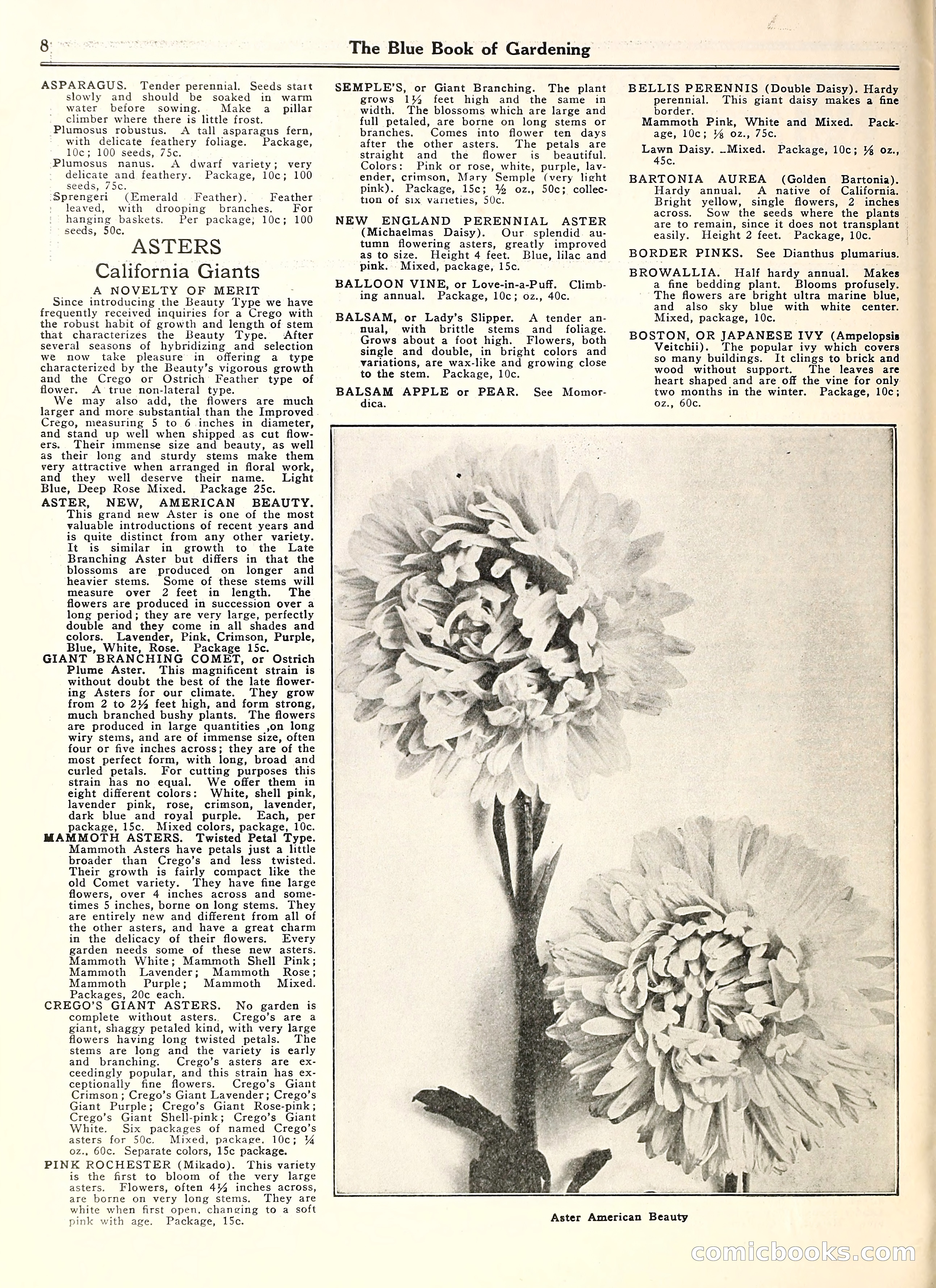 Blue Book of Gardening — page 13 of 69