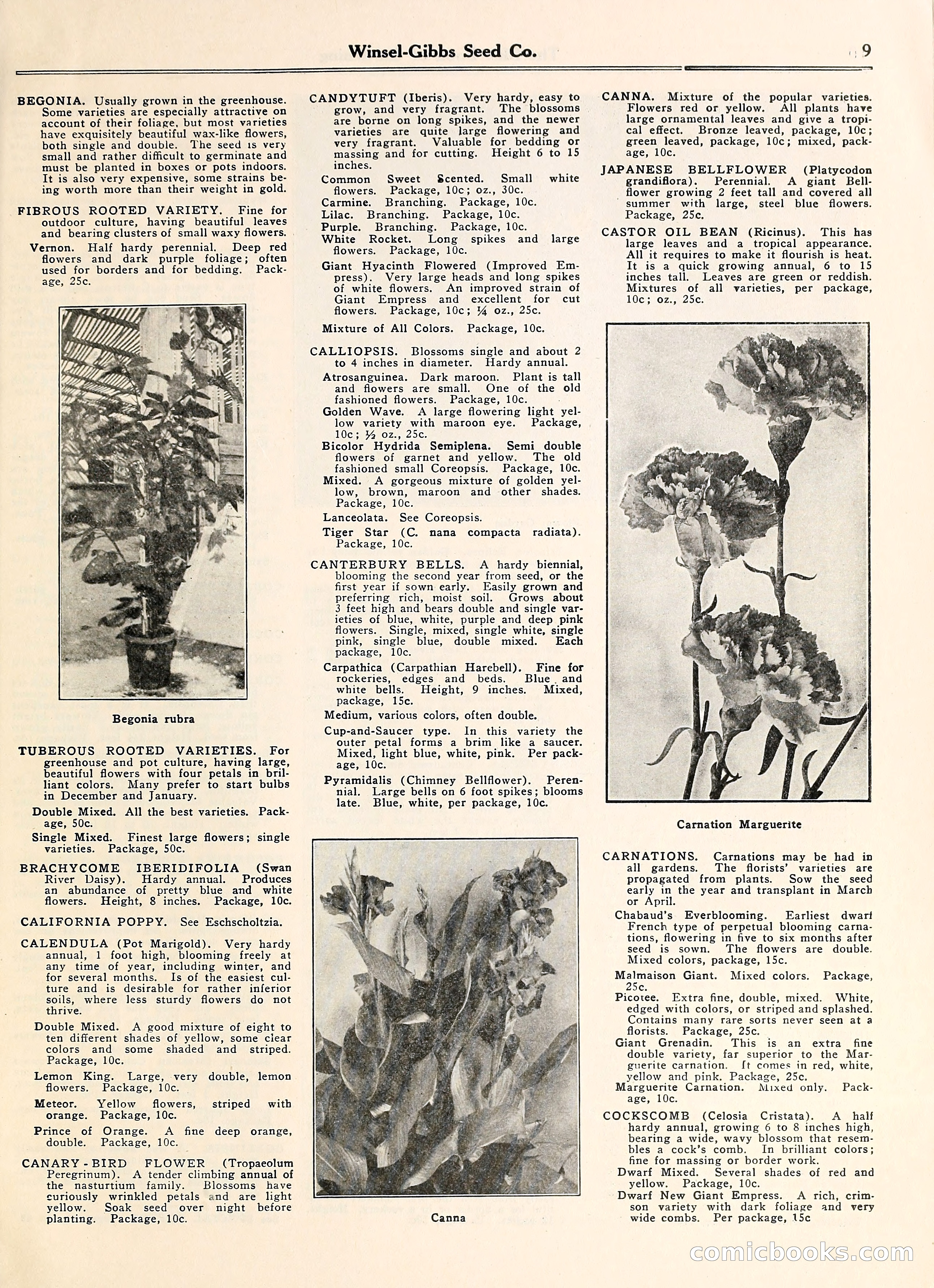 Blue Book of Gardening — page 14 of 69