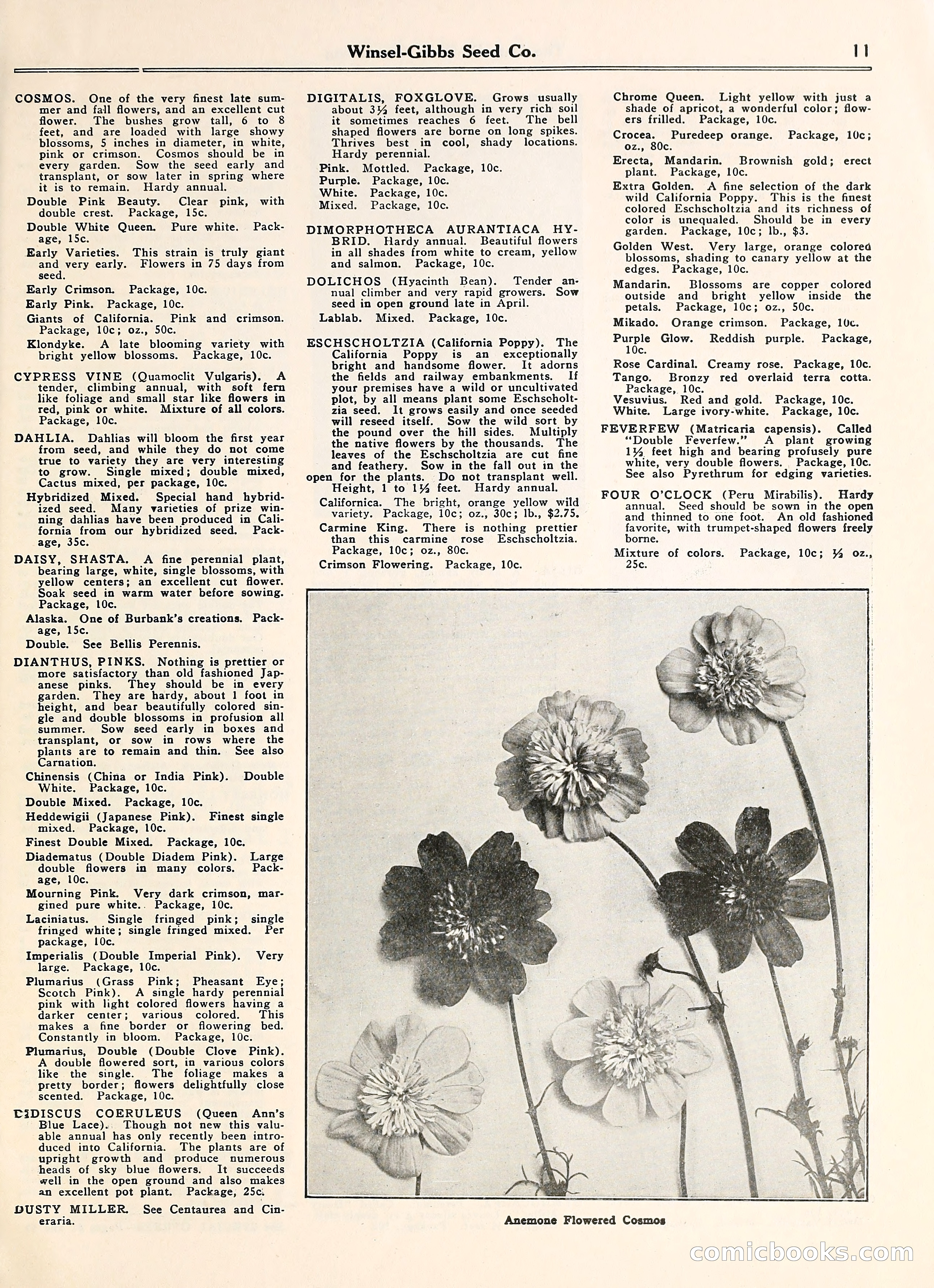 Blue Book of Gardening — page 16 of 69