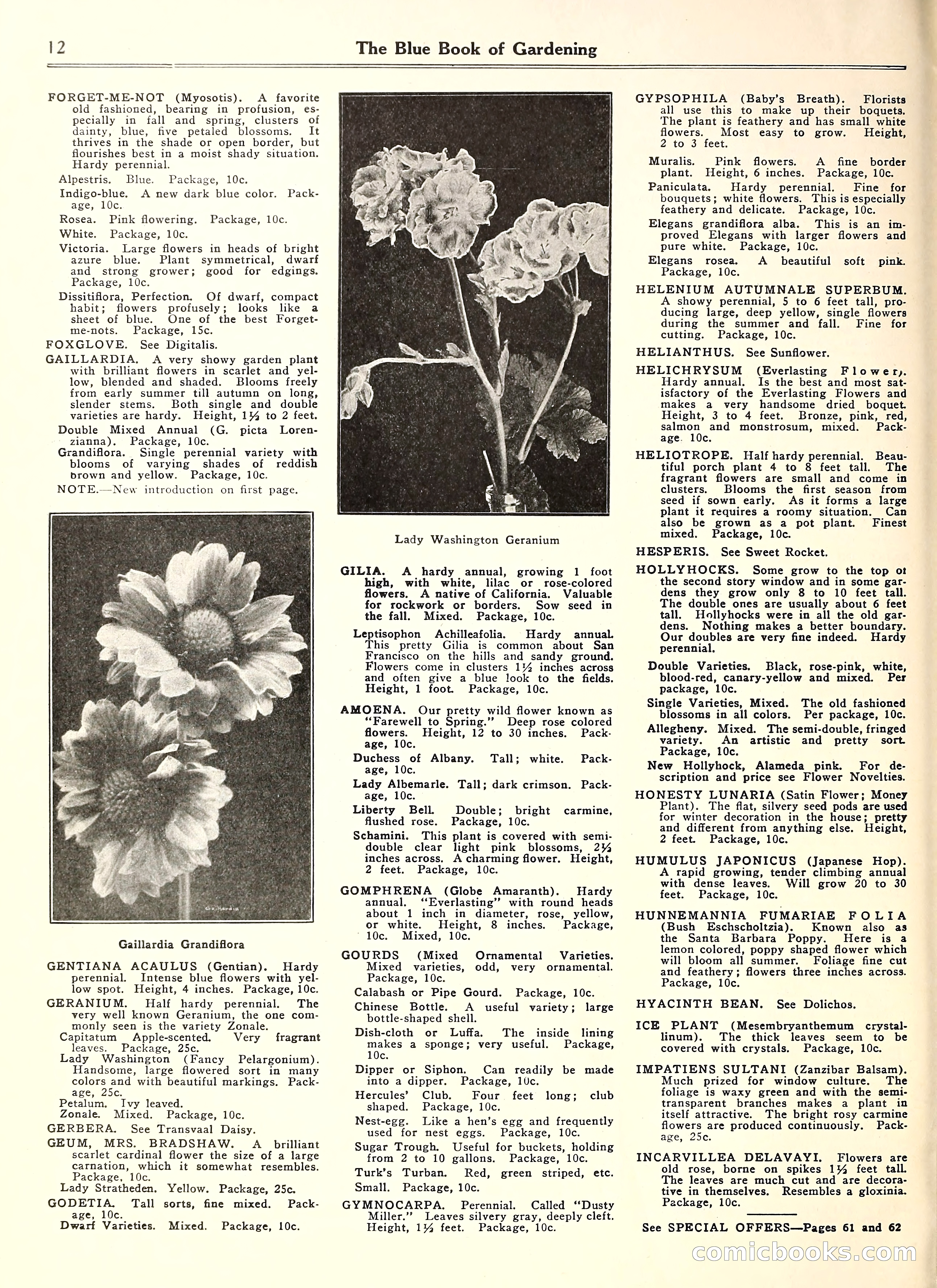 Blue Book of Gardening — page 17 of 69