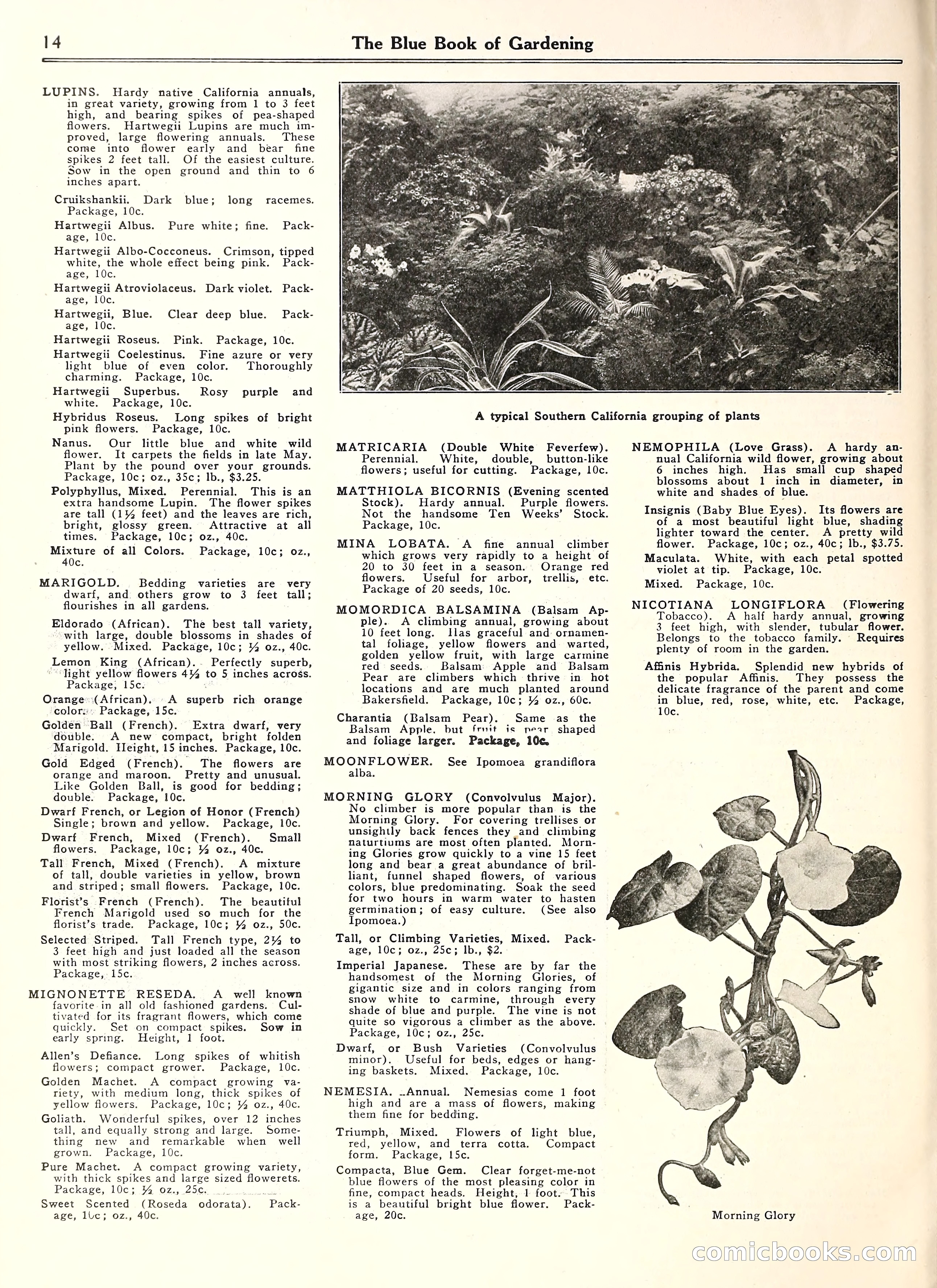 Blue Book of Gardening — page 19 of 69