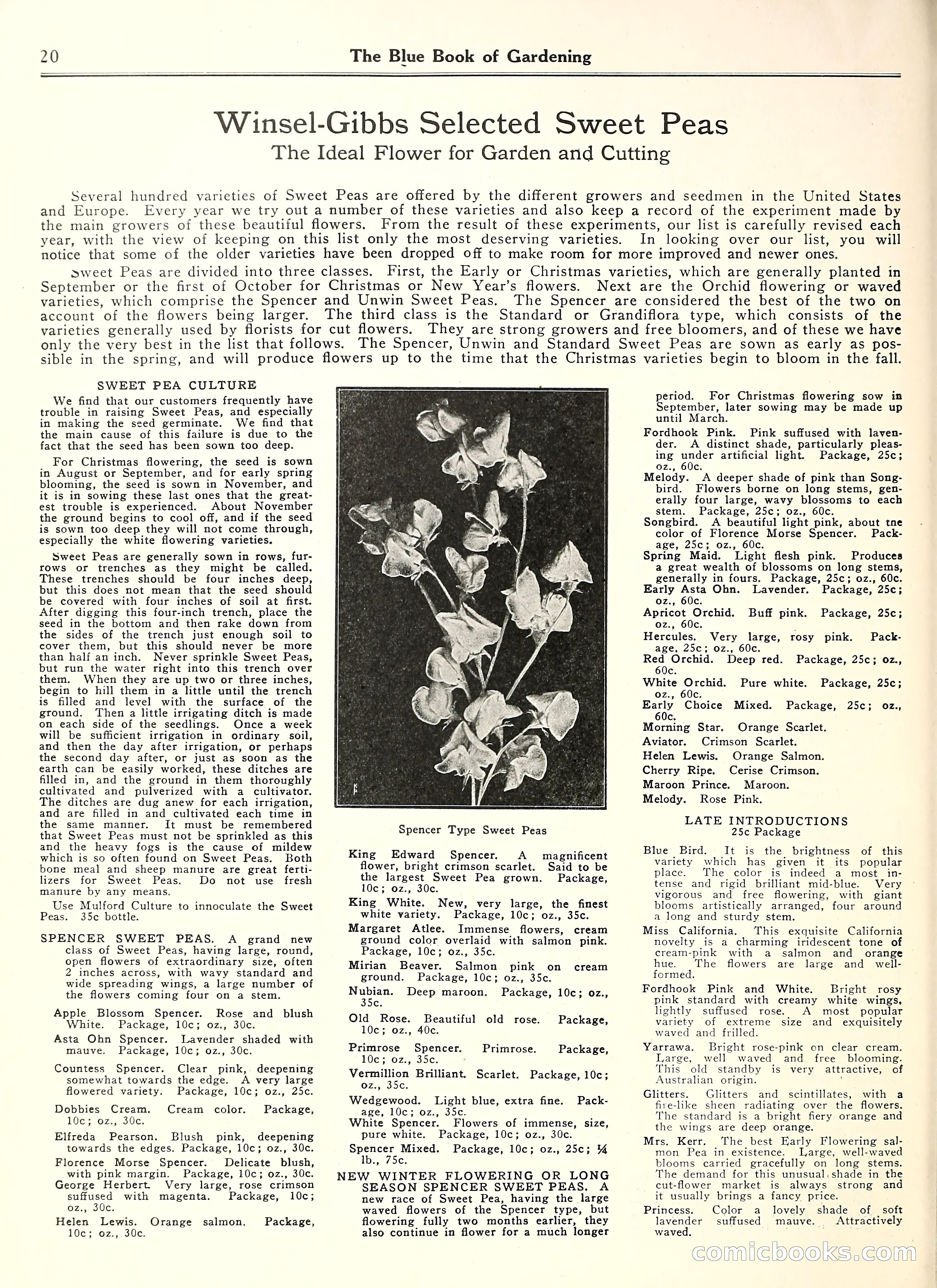 Blue Book of Gardening — page 25 of 69