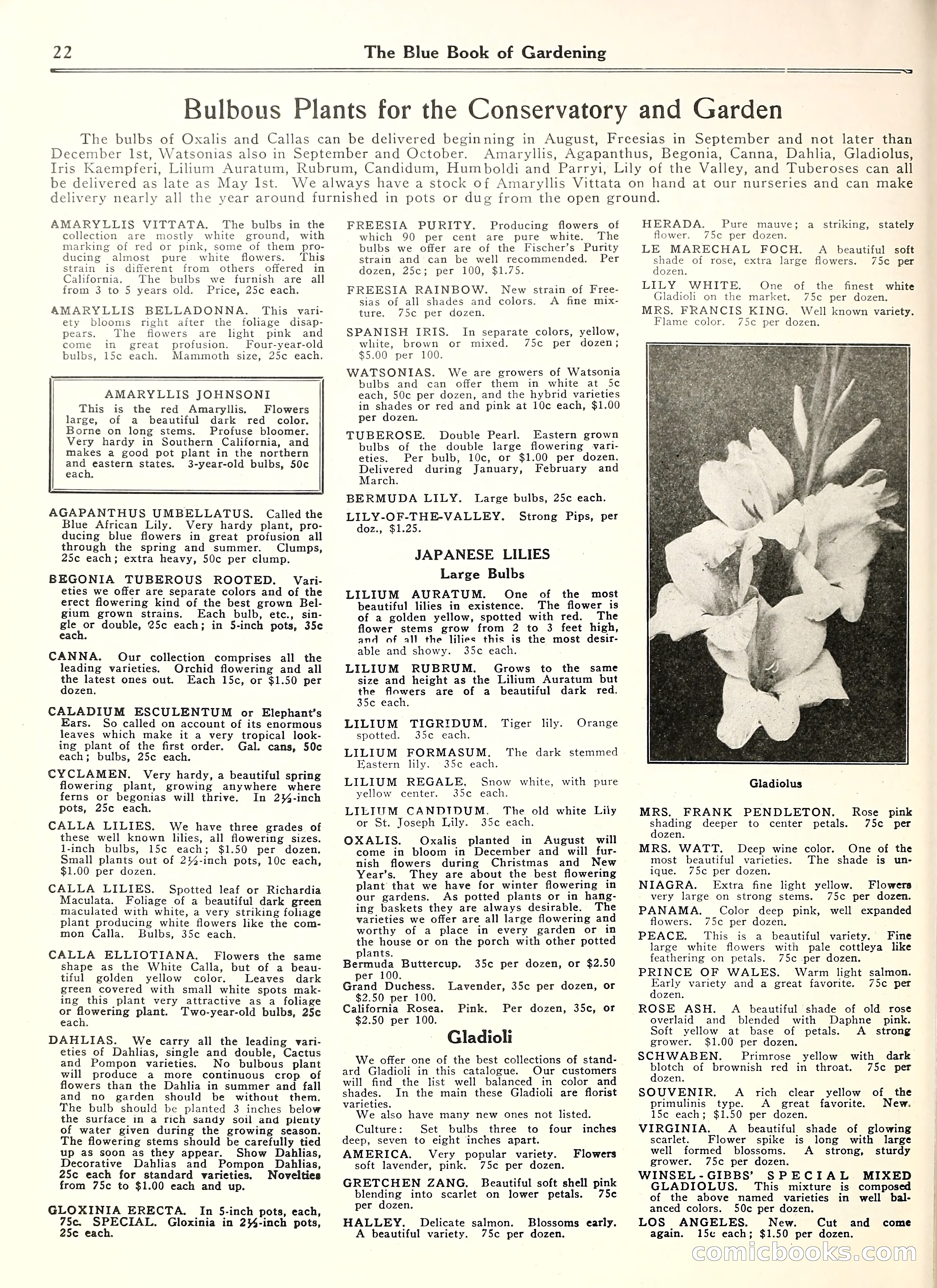 Blue Book of Gardening — page 27 of 69