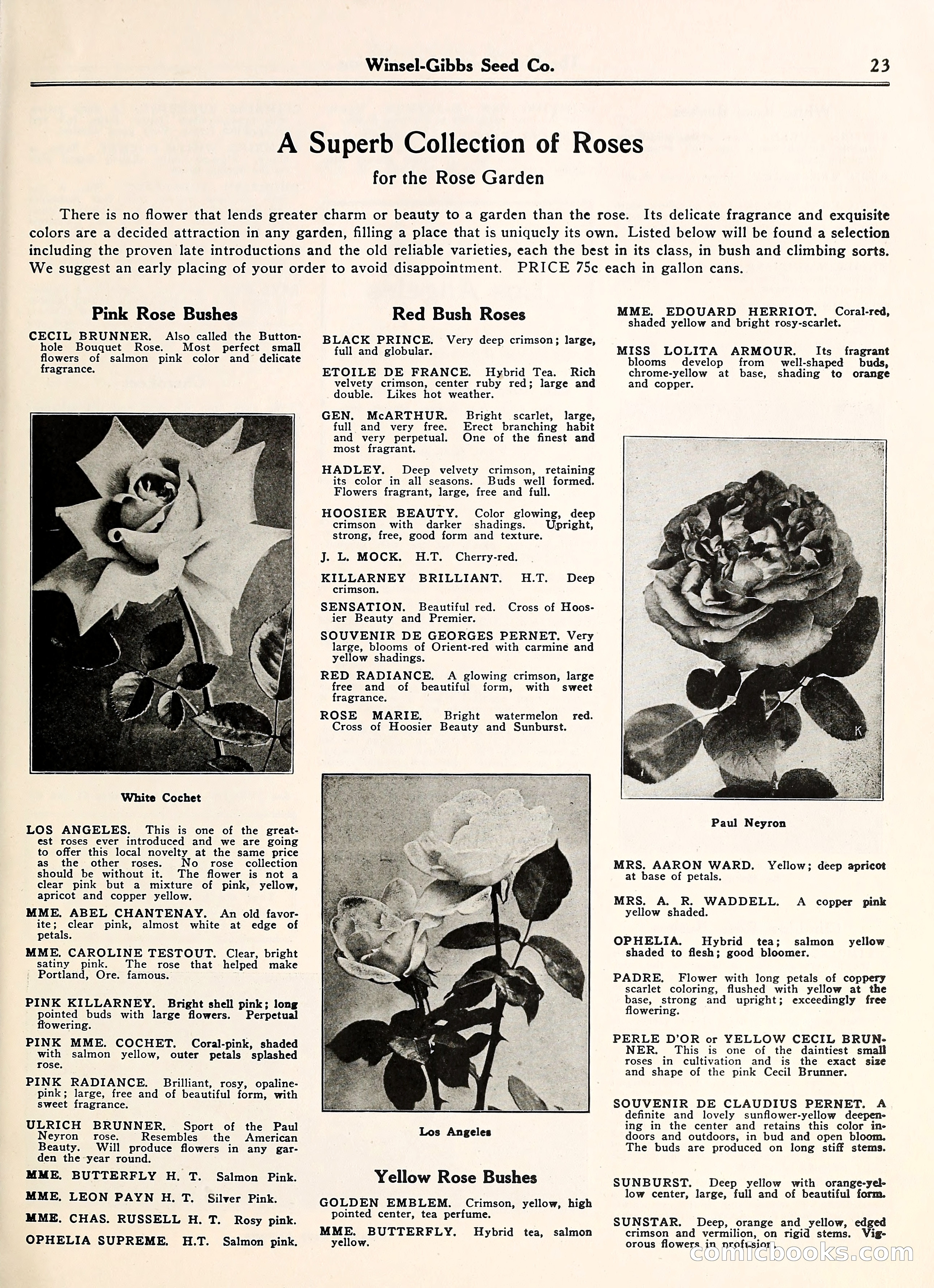 Blue Book of Gardening — page 28 of 69