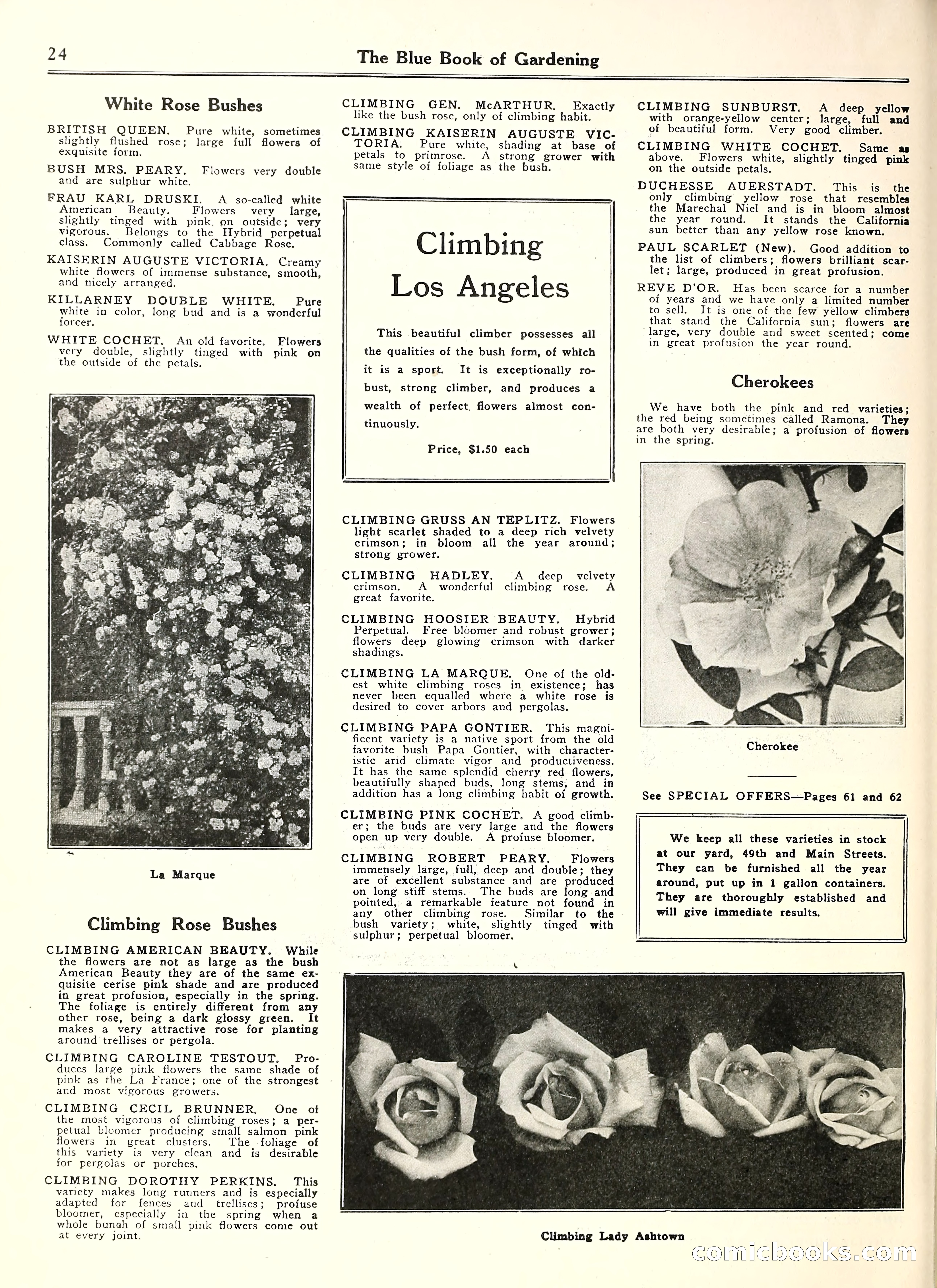 Blue Book of Gardening — page 29 of 69