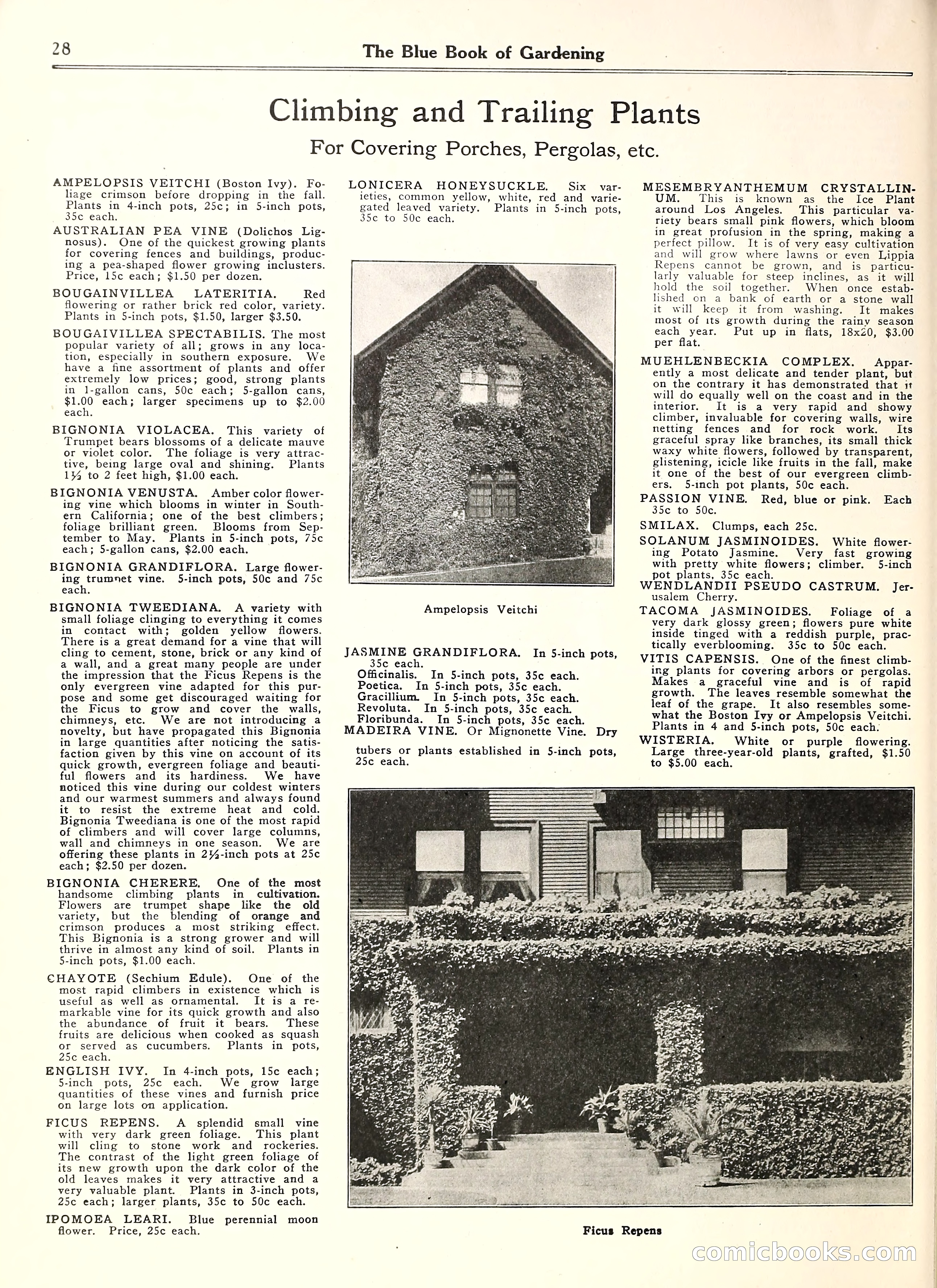 Blue Book of Gardening — page 33 of 69