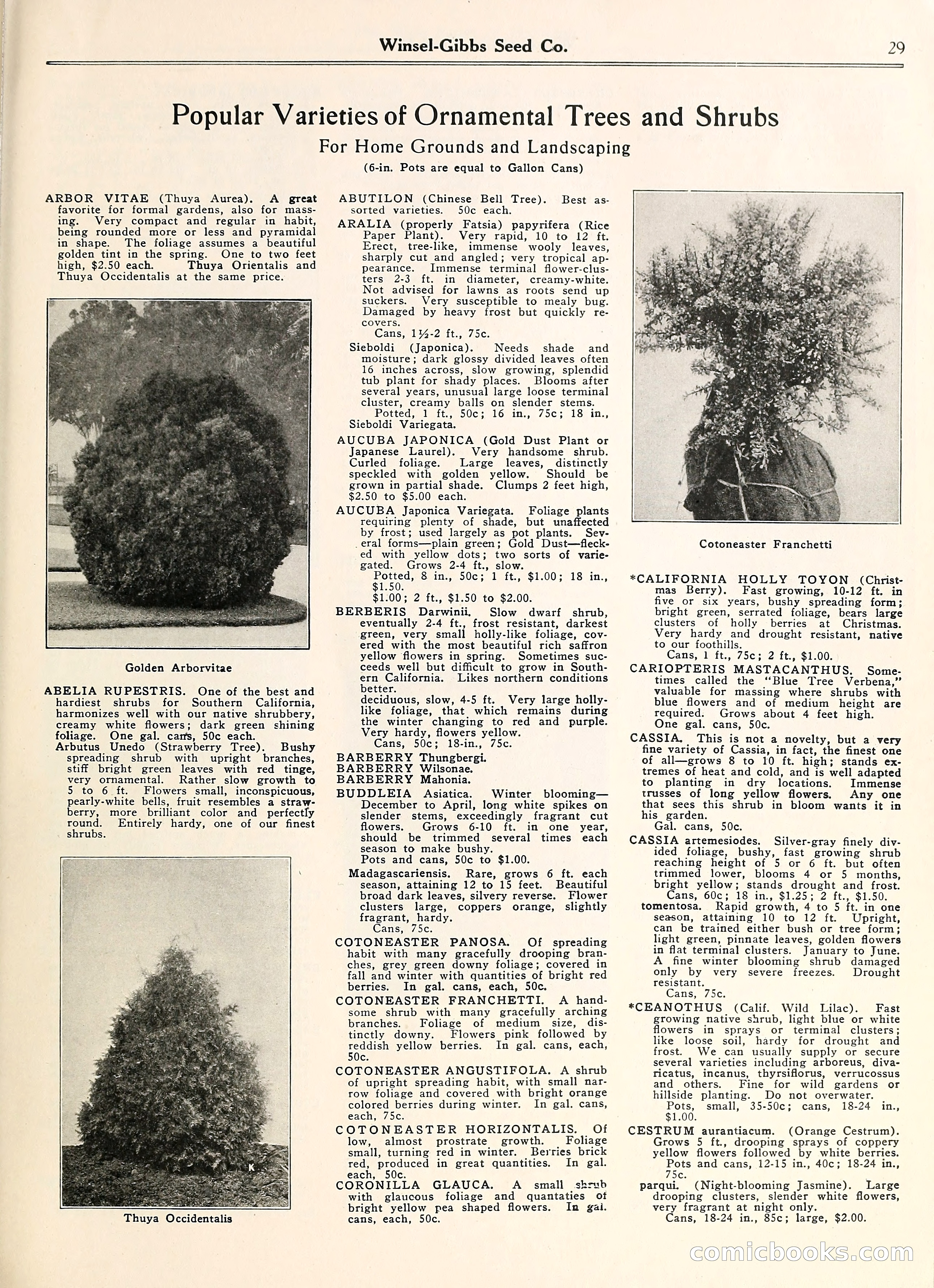 Blue Book of Gardening — page 34 of 69