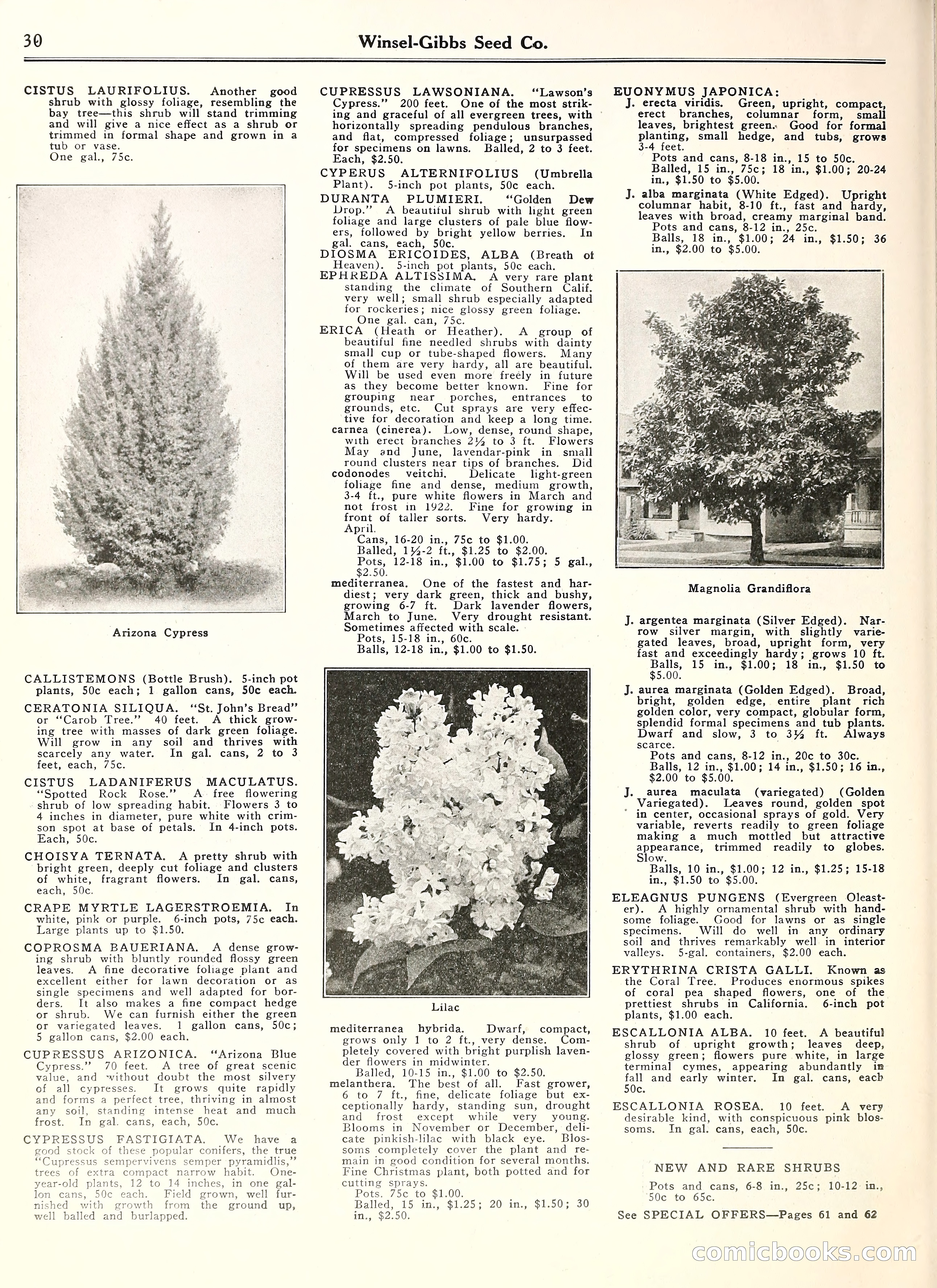 Blue Book of Gardening — page 35 of 69
