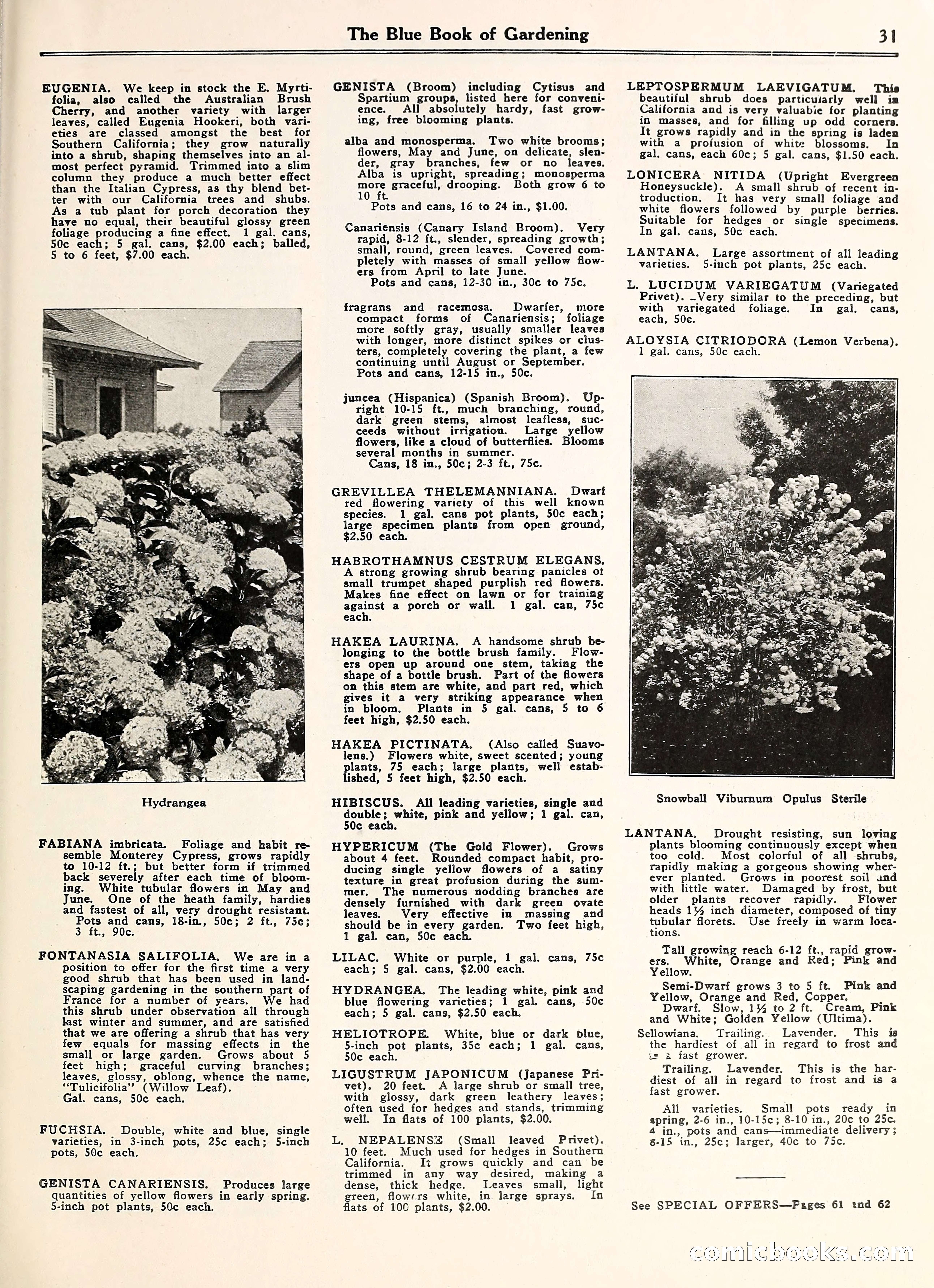 Blue Book of Gardening — page 36 of 69