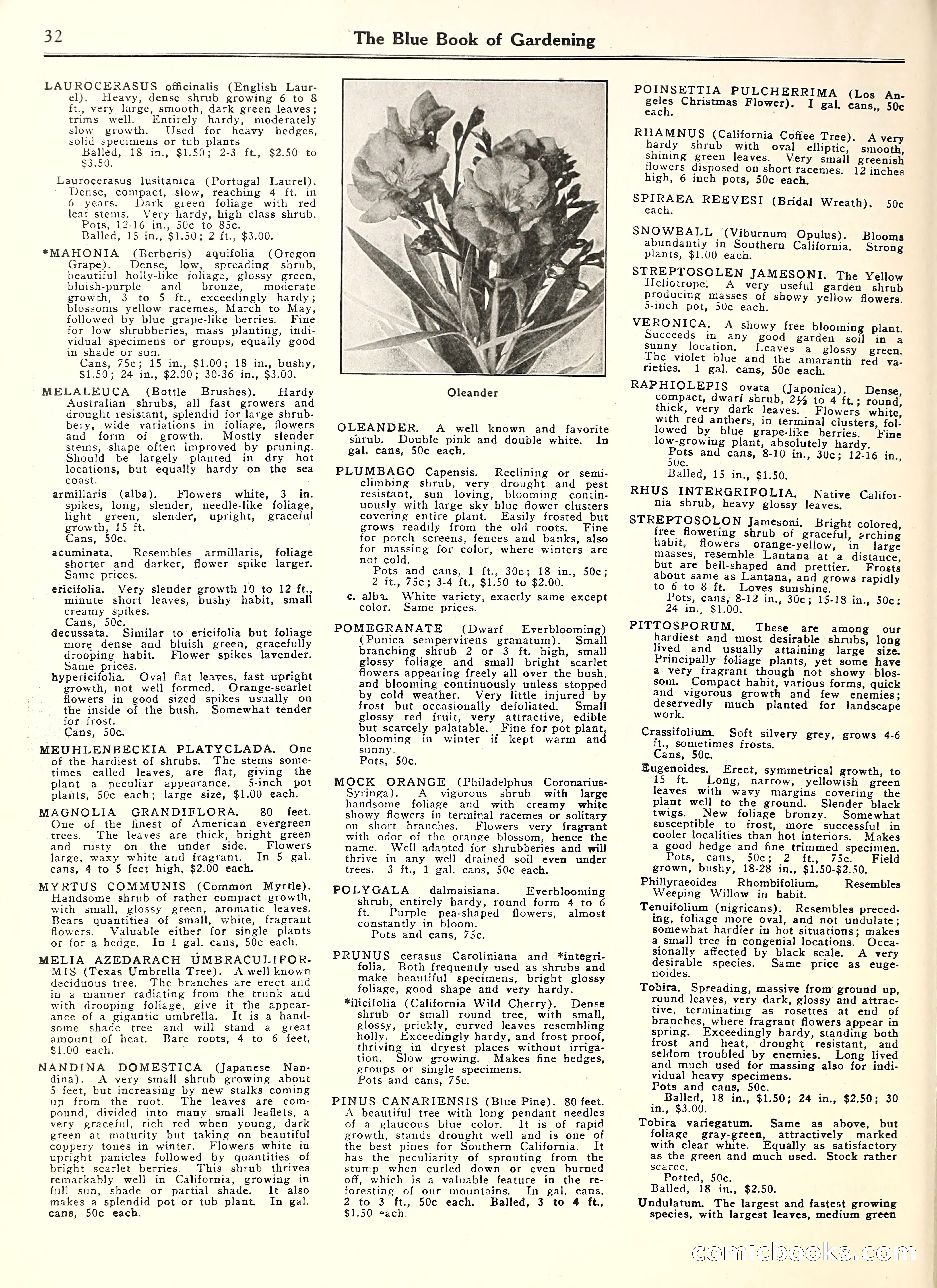 Blue Book of Gardening — page 37 of 69