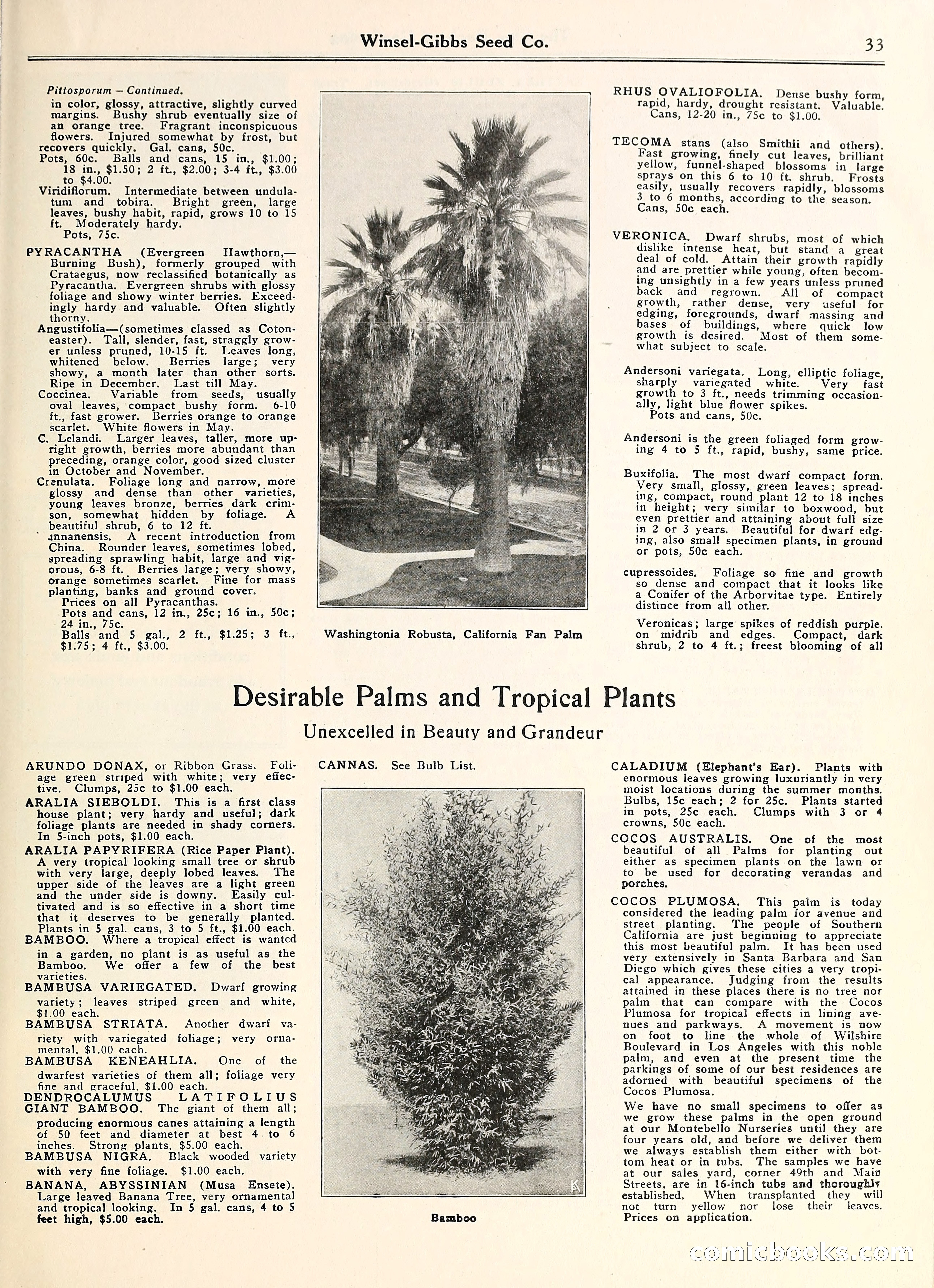 Blue Book of Gardening — page 38 of 69