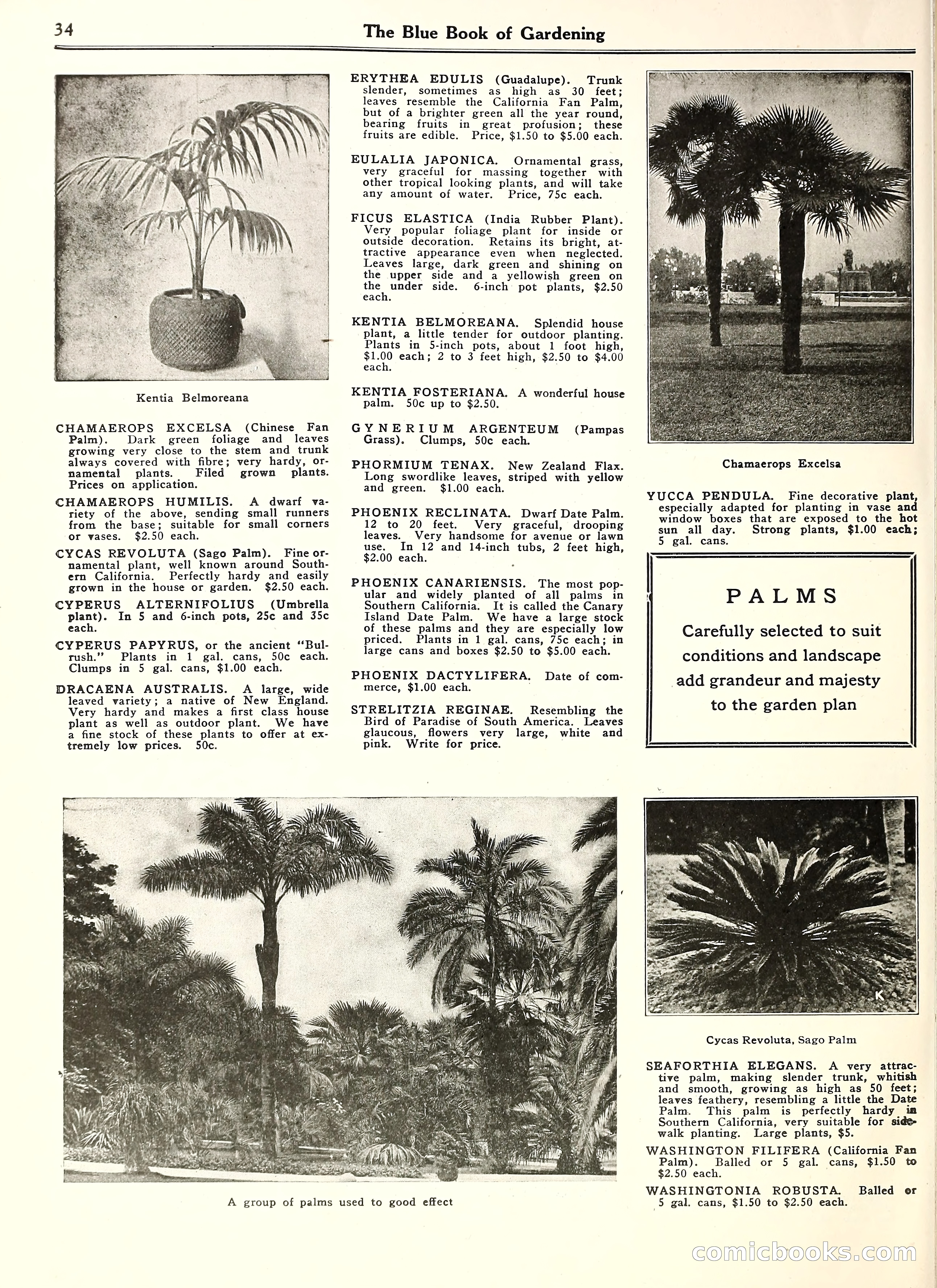 Blue Book of Gardening — page 39 of 69