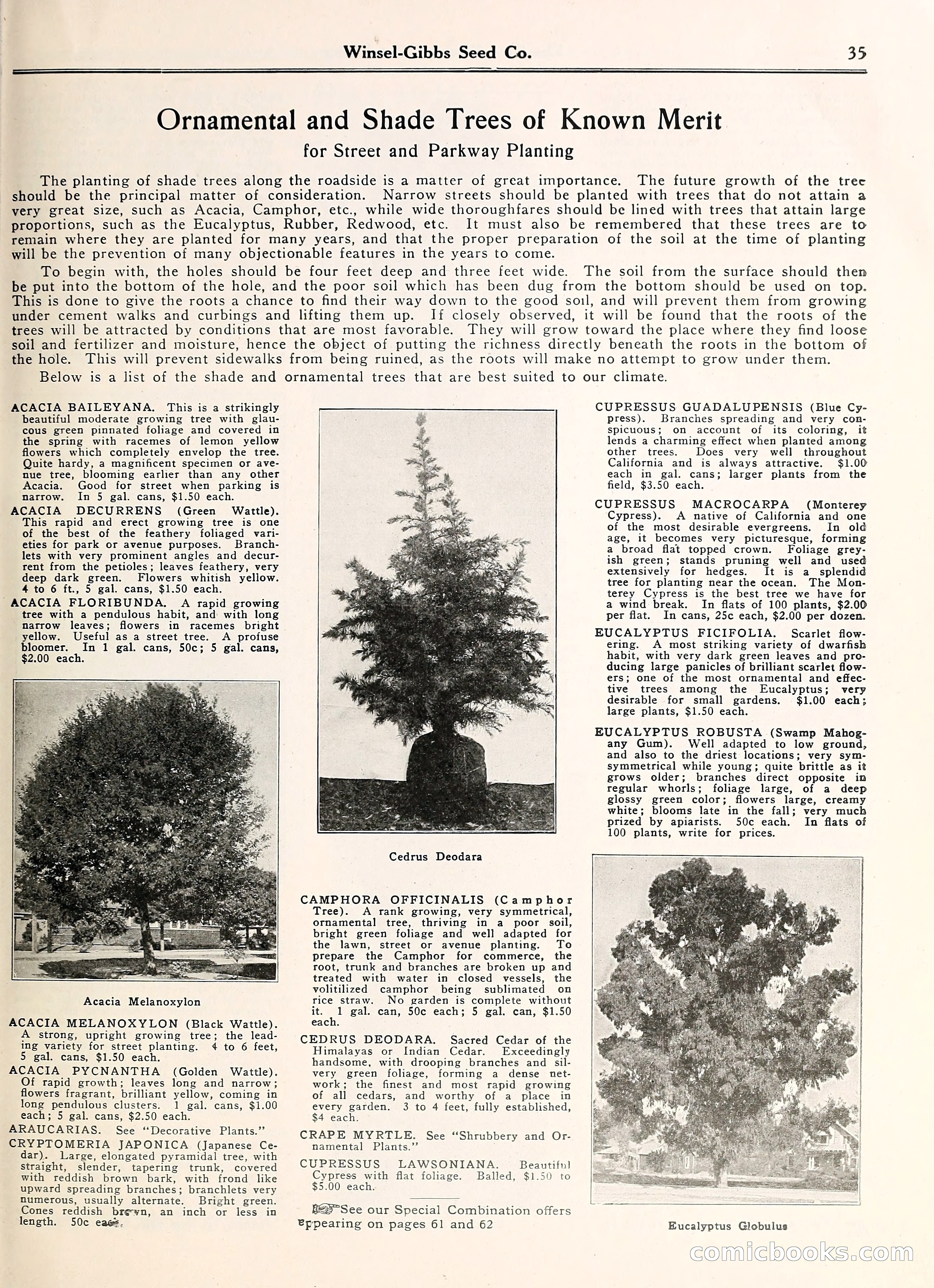 Blue Book of Gardening — page 40 of 69