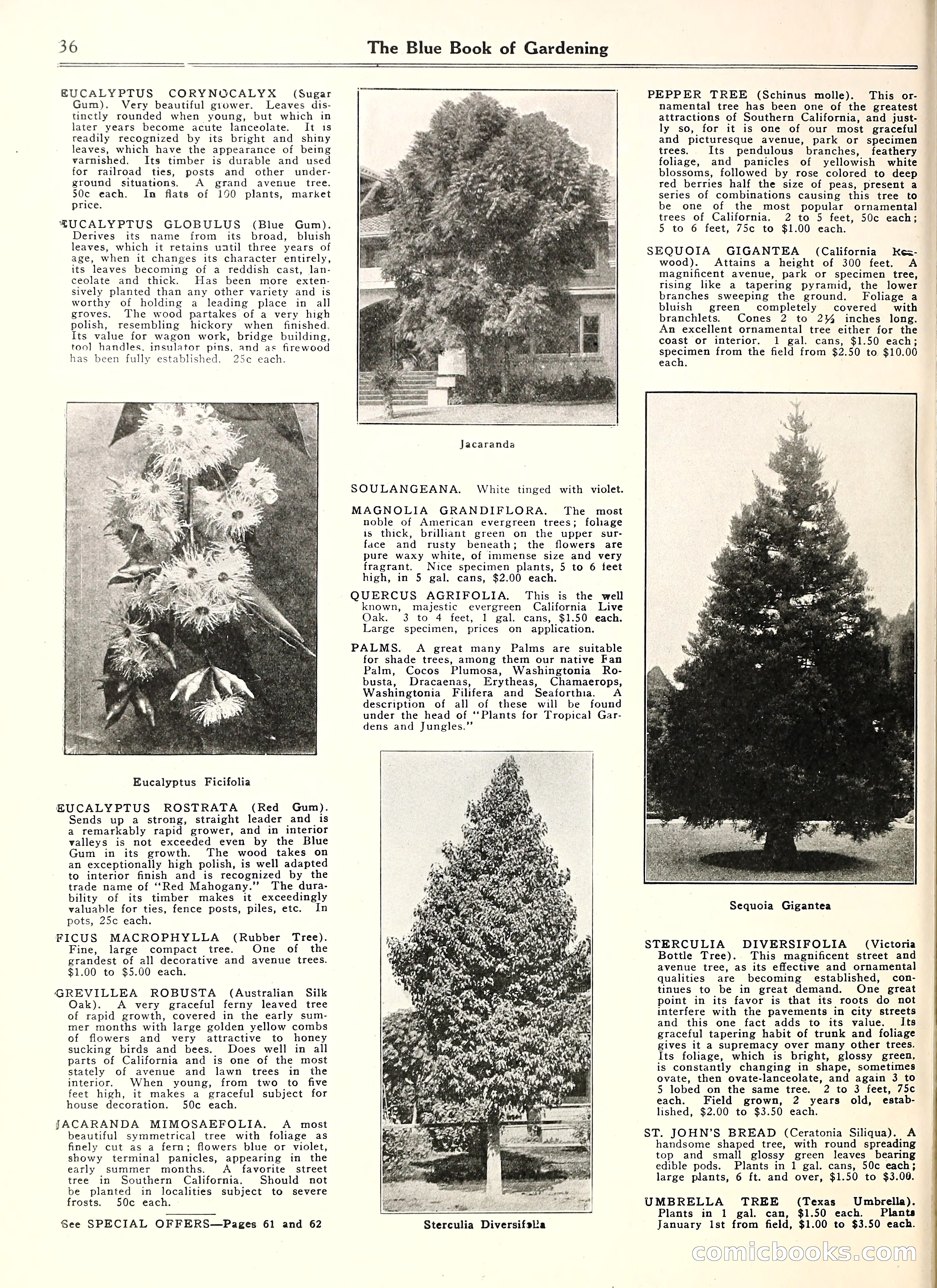 Blue Book of Gardening — page 41 of 69