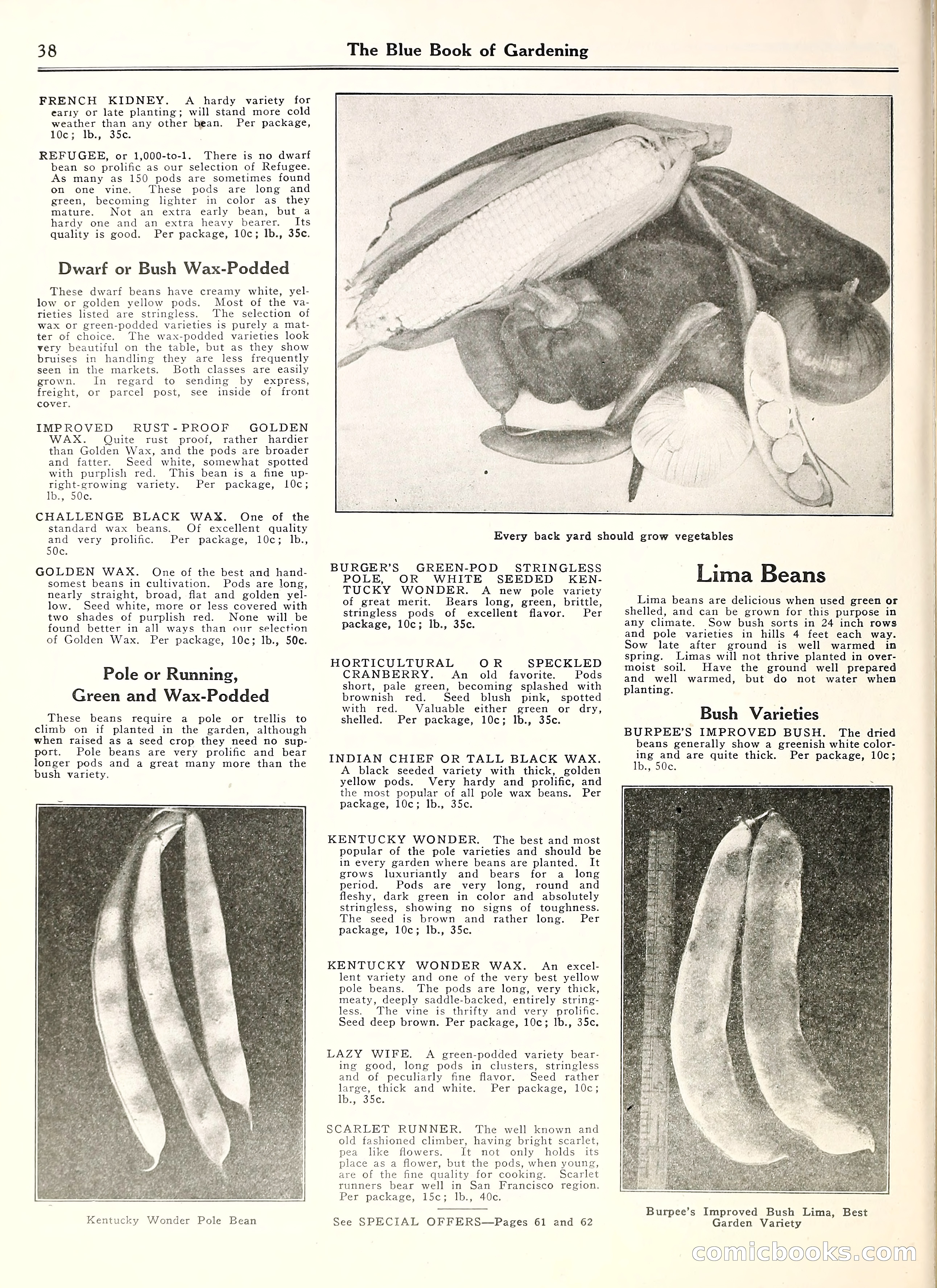 Blue Book of Gardening — page 43 of 69