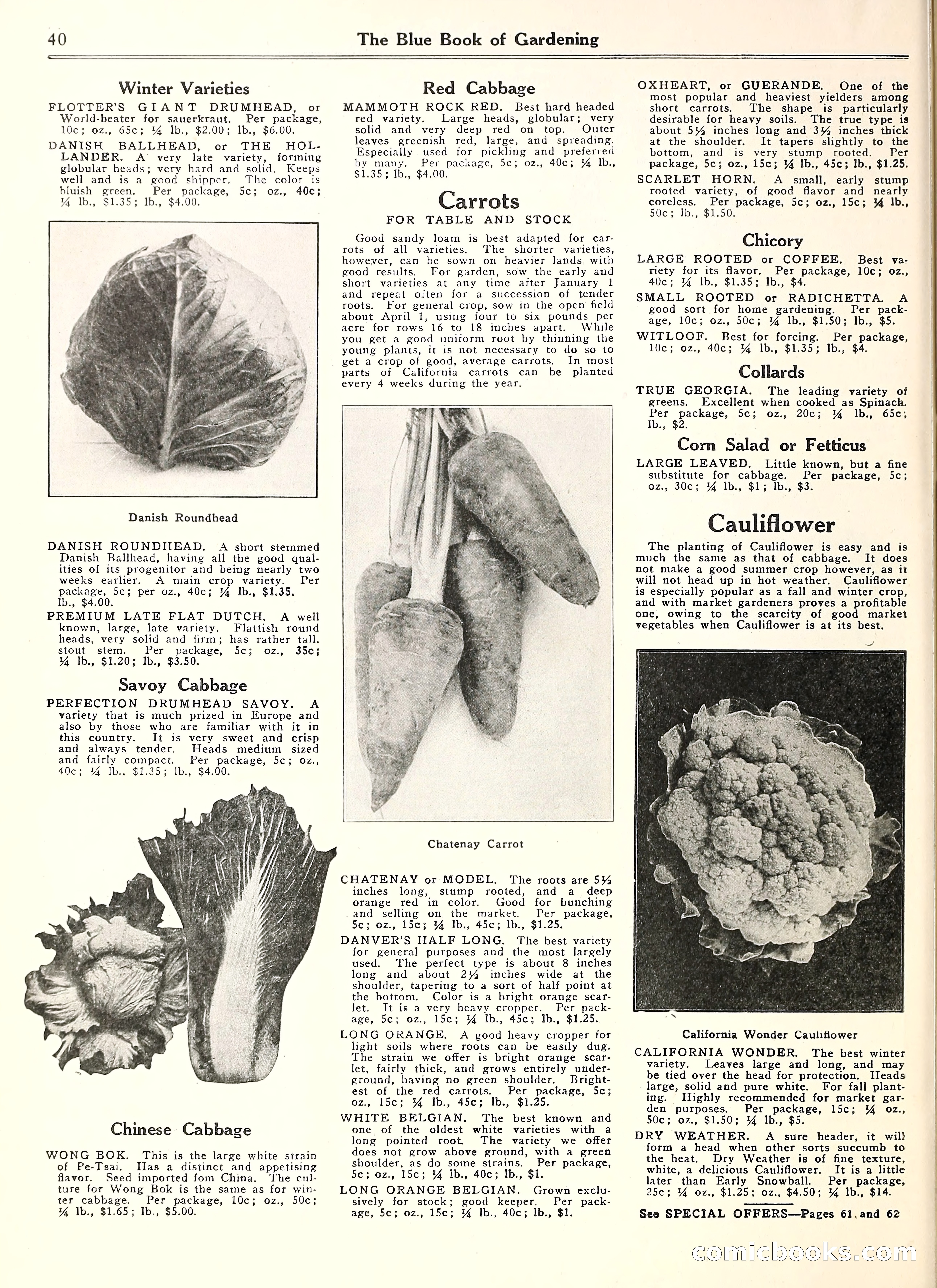 Blue Book of Gardening — page 45 of 69