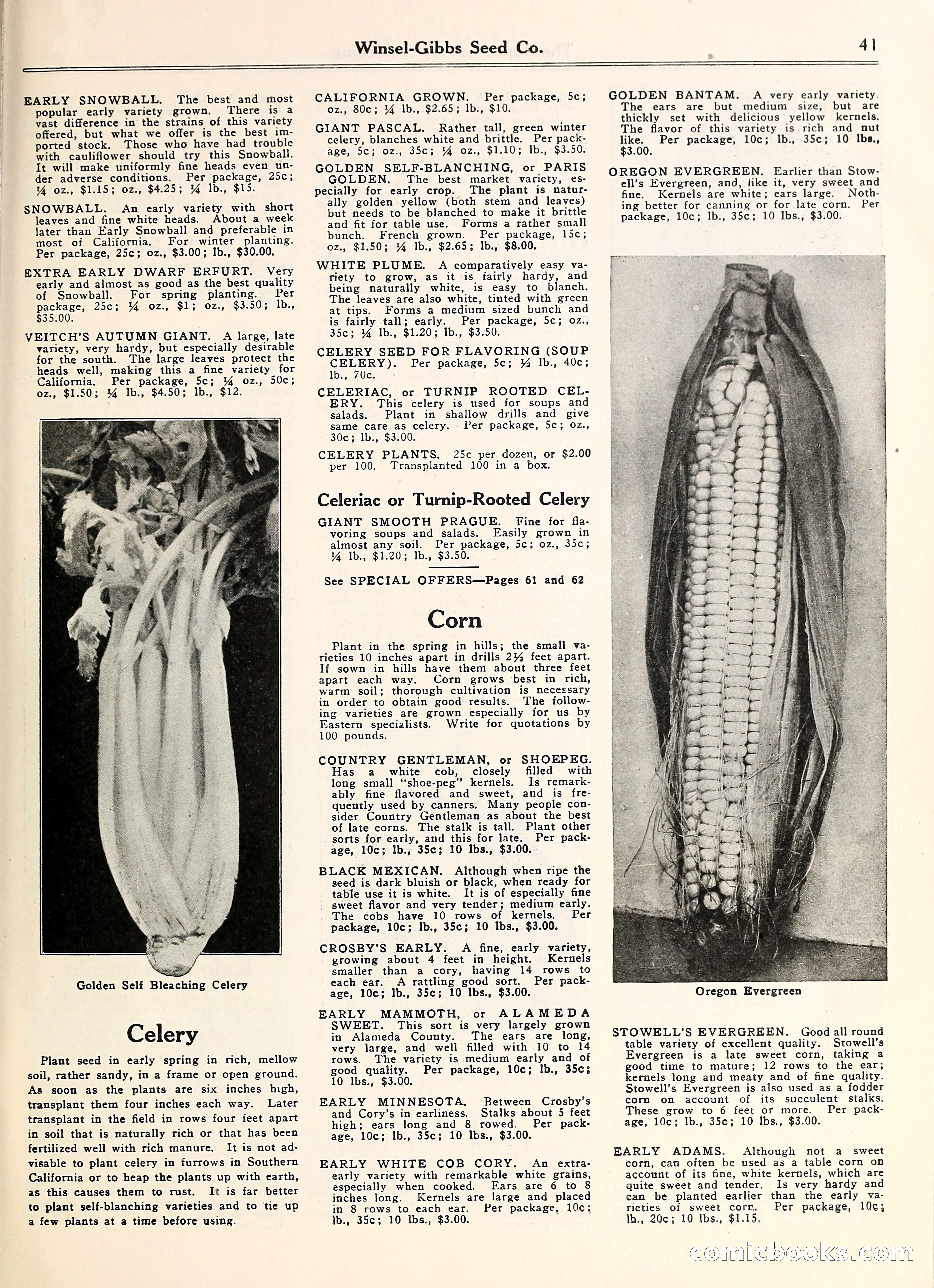 Blue Book of Gardening — page 46 of 69