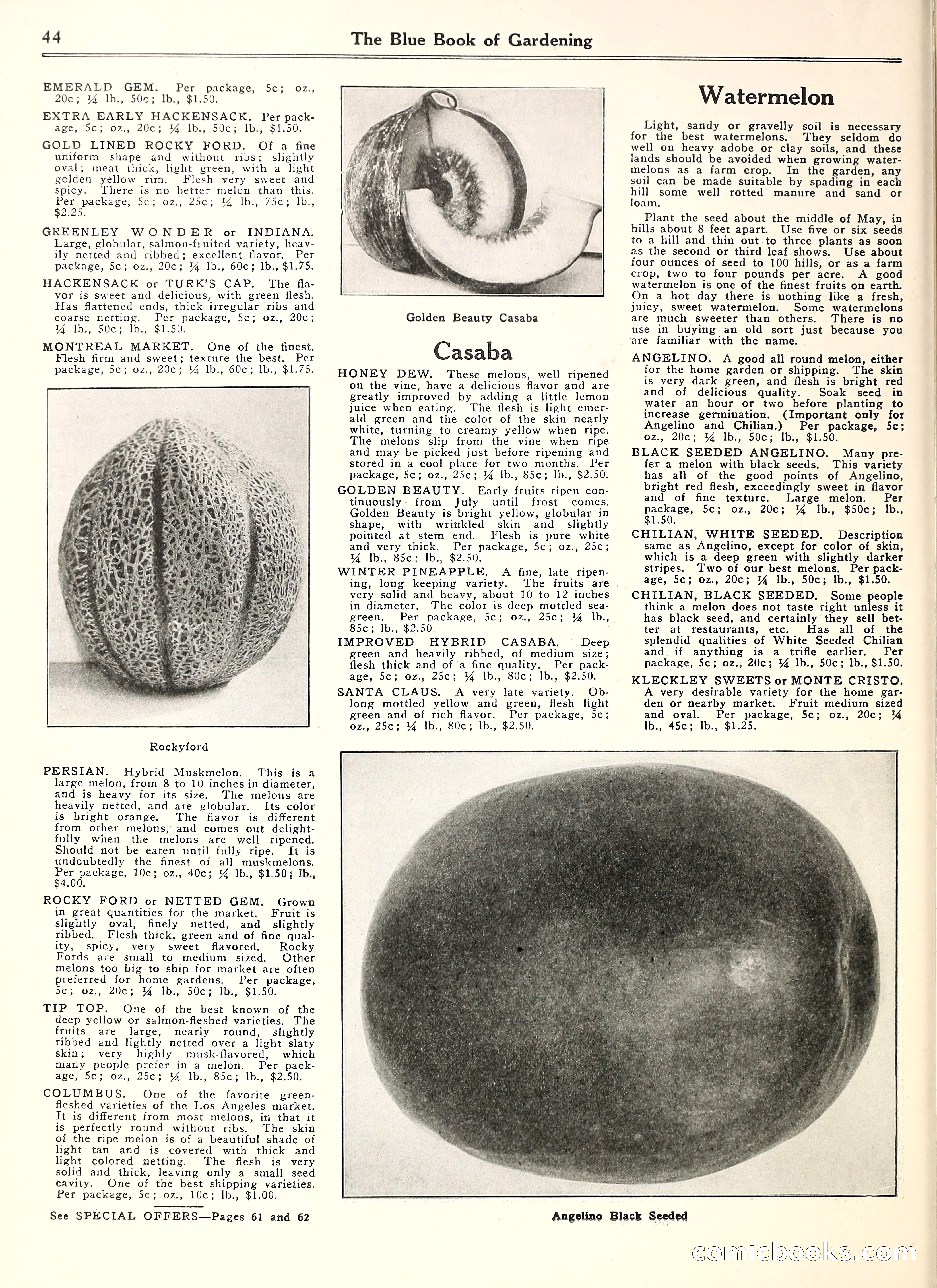 Blue Book of Gardening — page 49 of 69