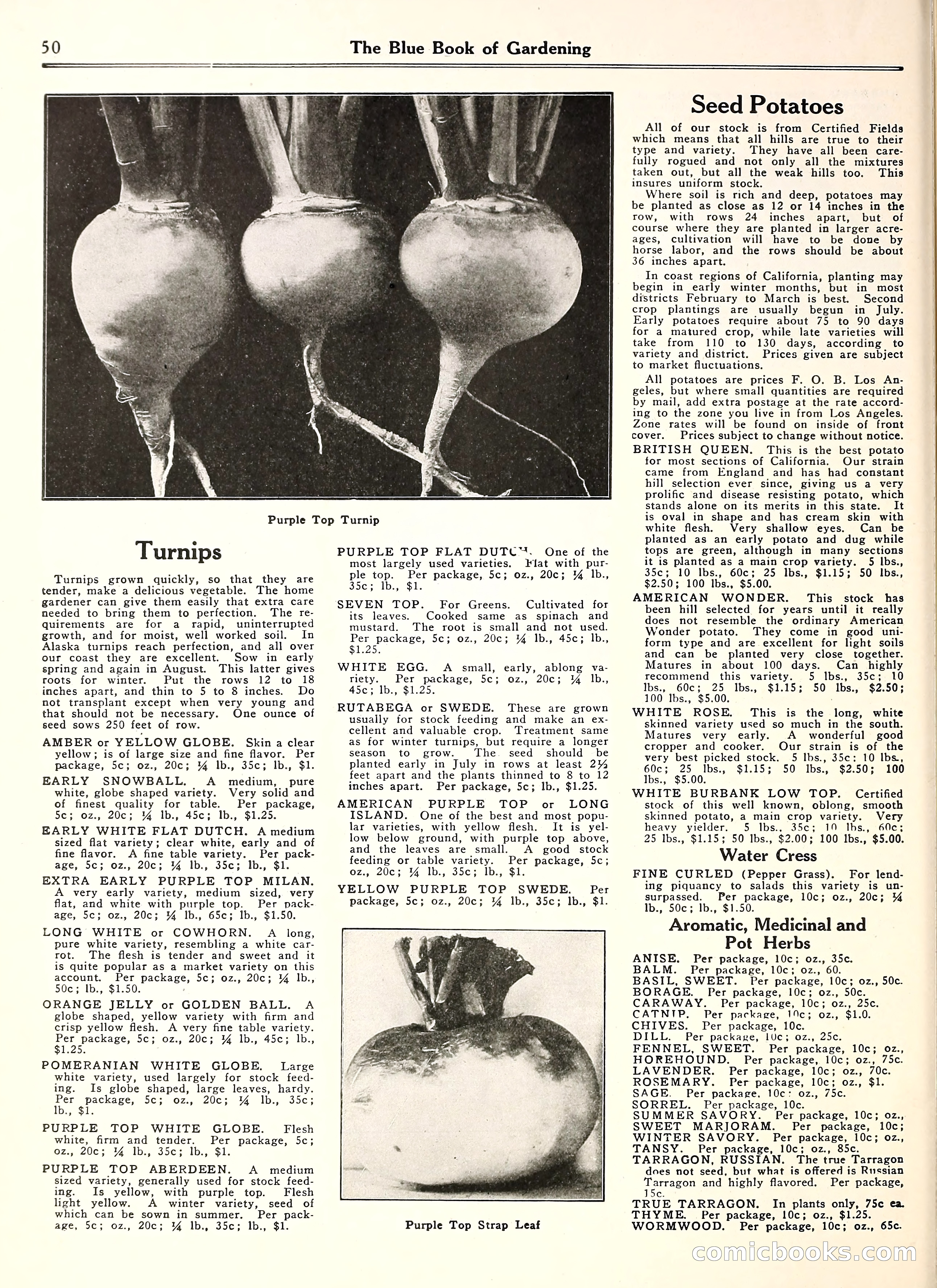 Blue Book of Gardening — page 55 of 69