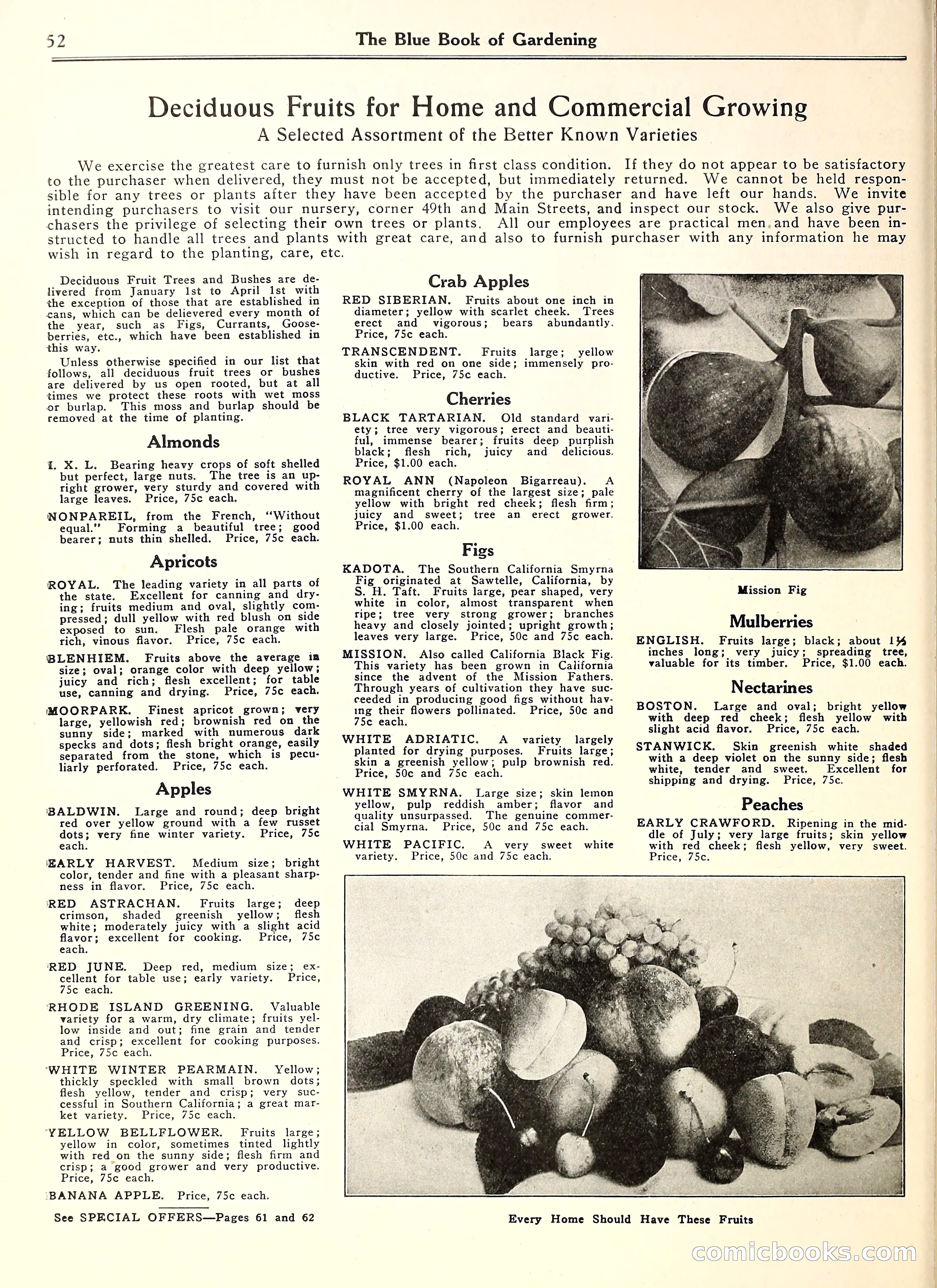 Blue Book of Gardening — page 57 of 69