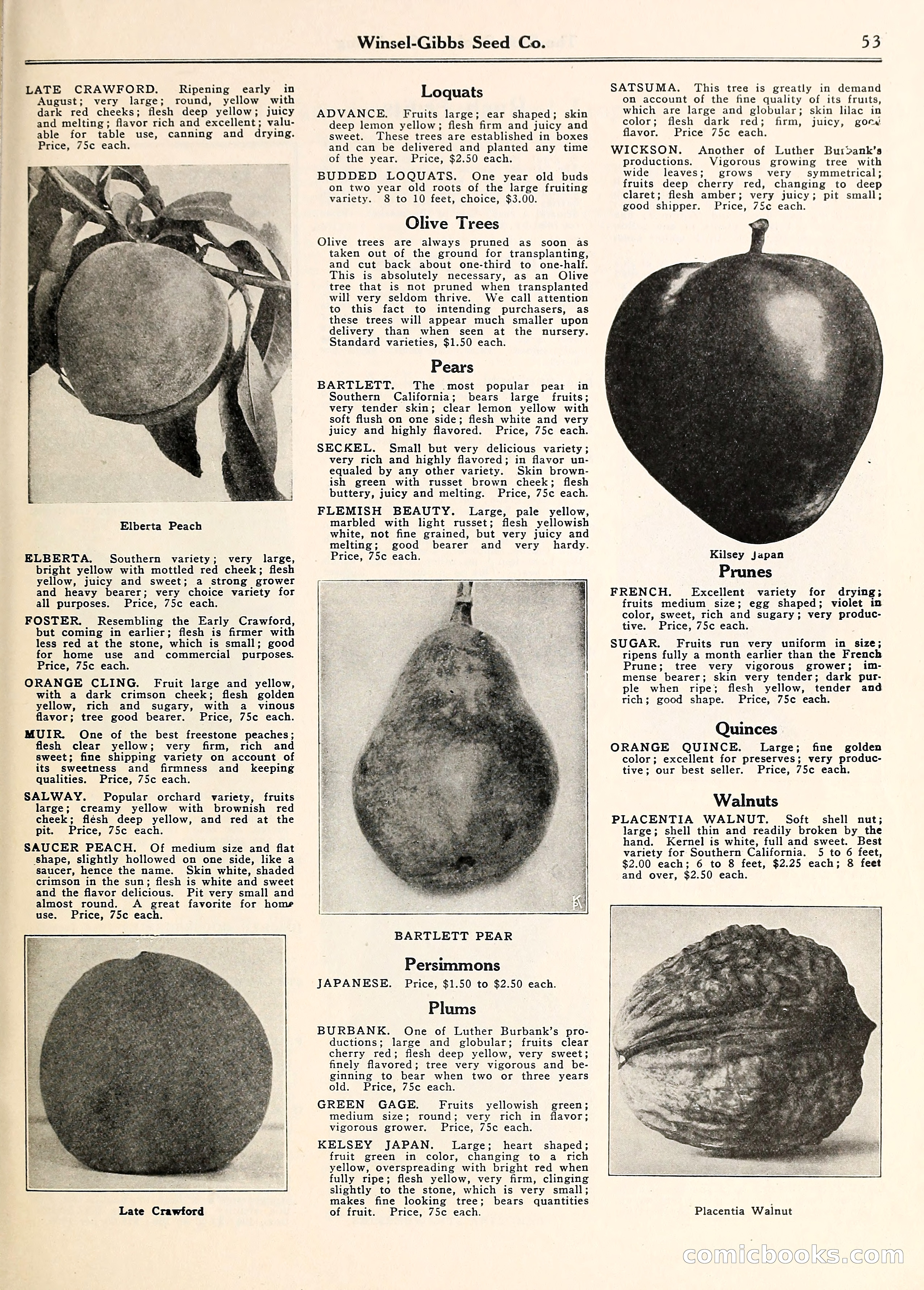 Blue Book of Gardening — page 58 of 69