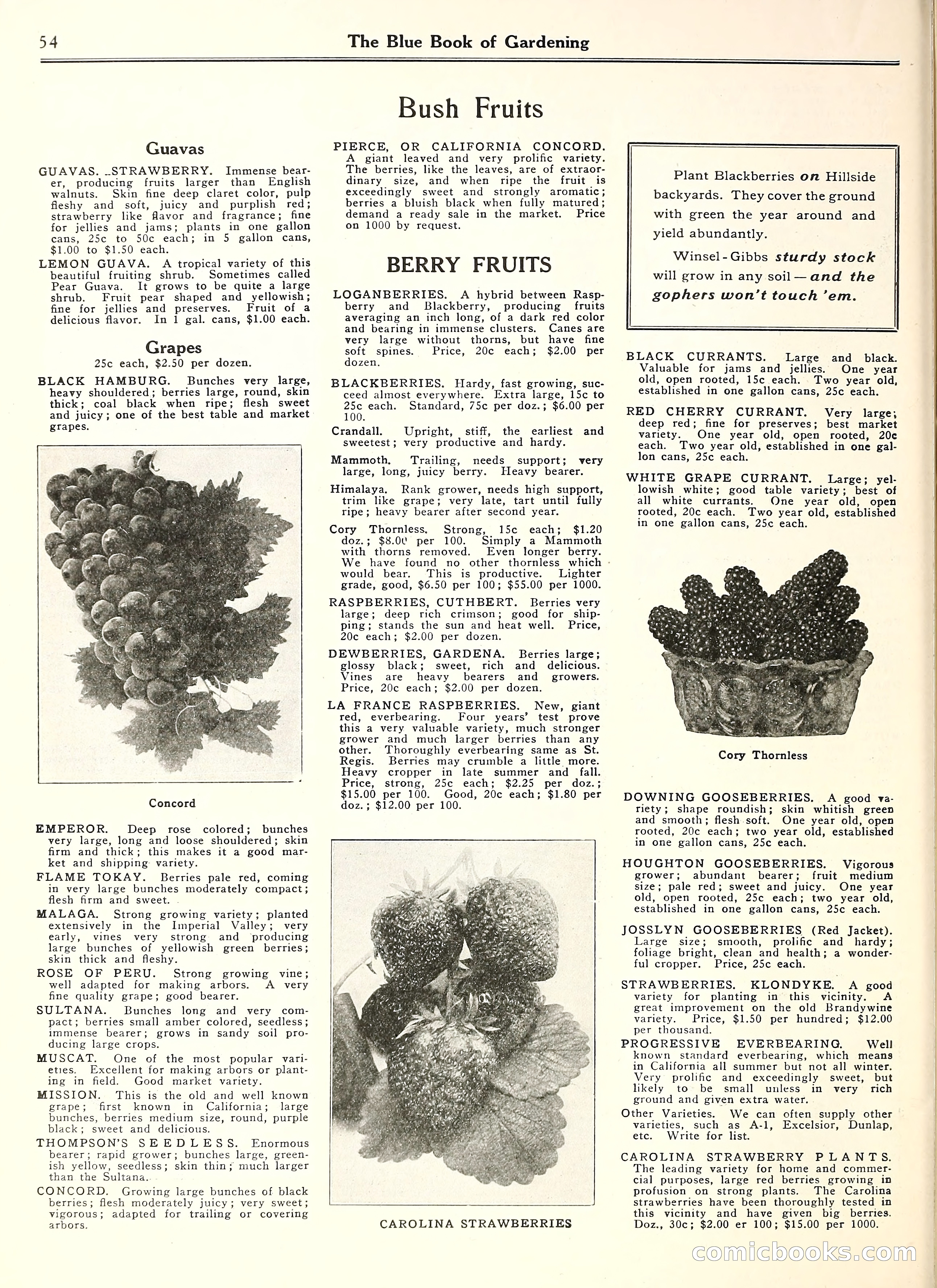 Blue Book of Gardening — page 59 of 69