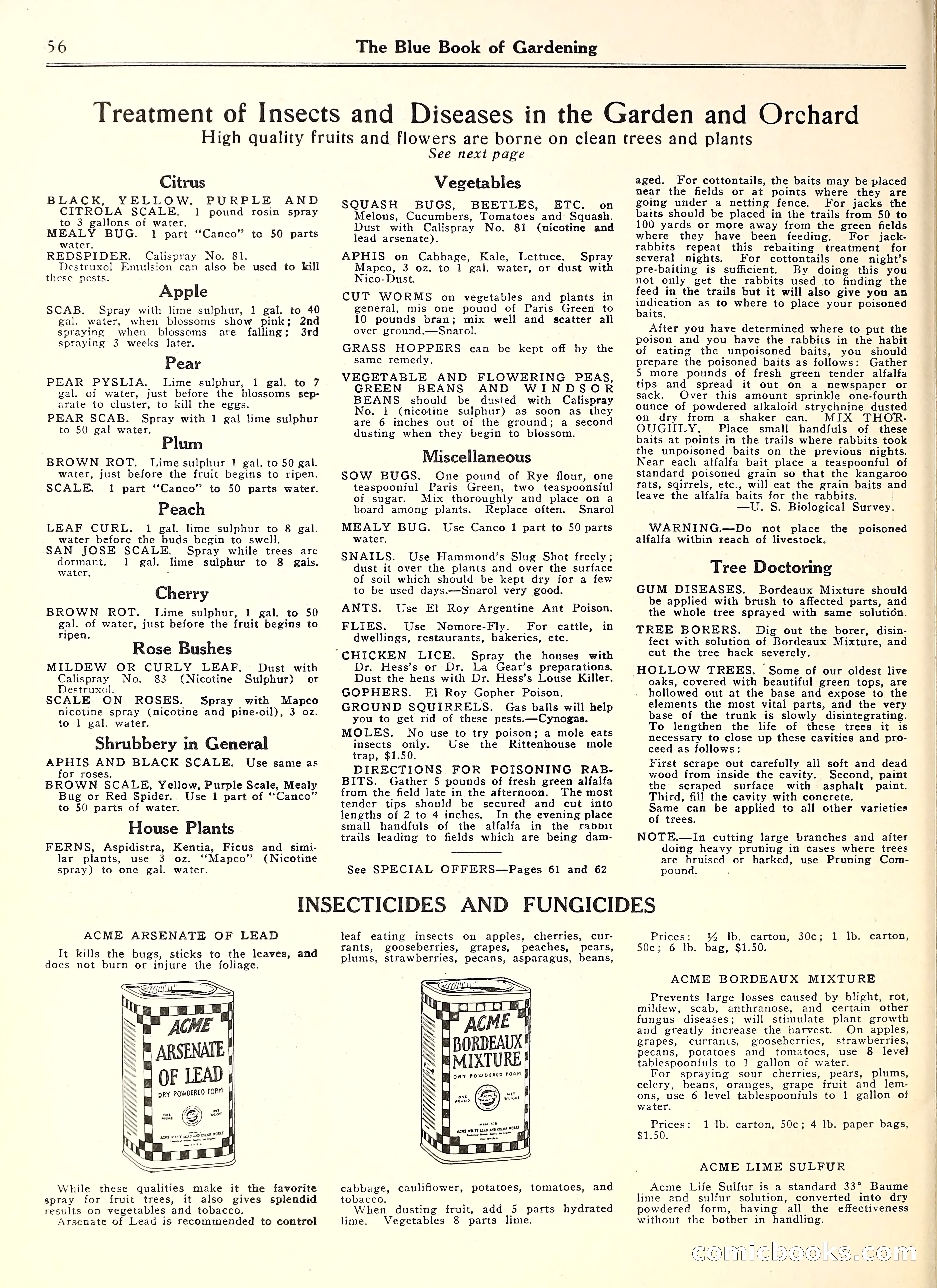 Blue Book of Gardening — page 61 of 69