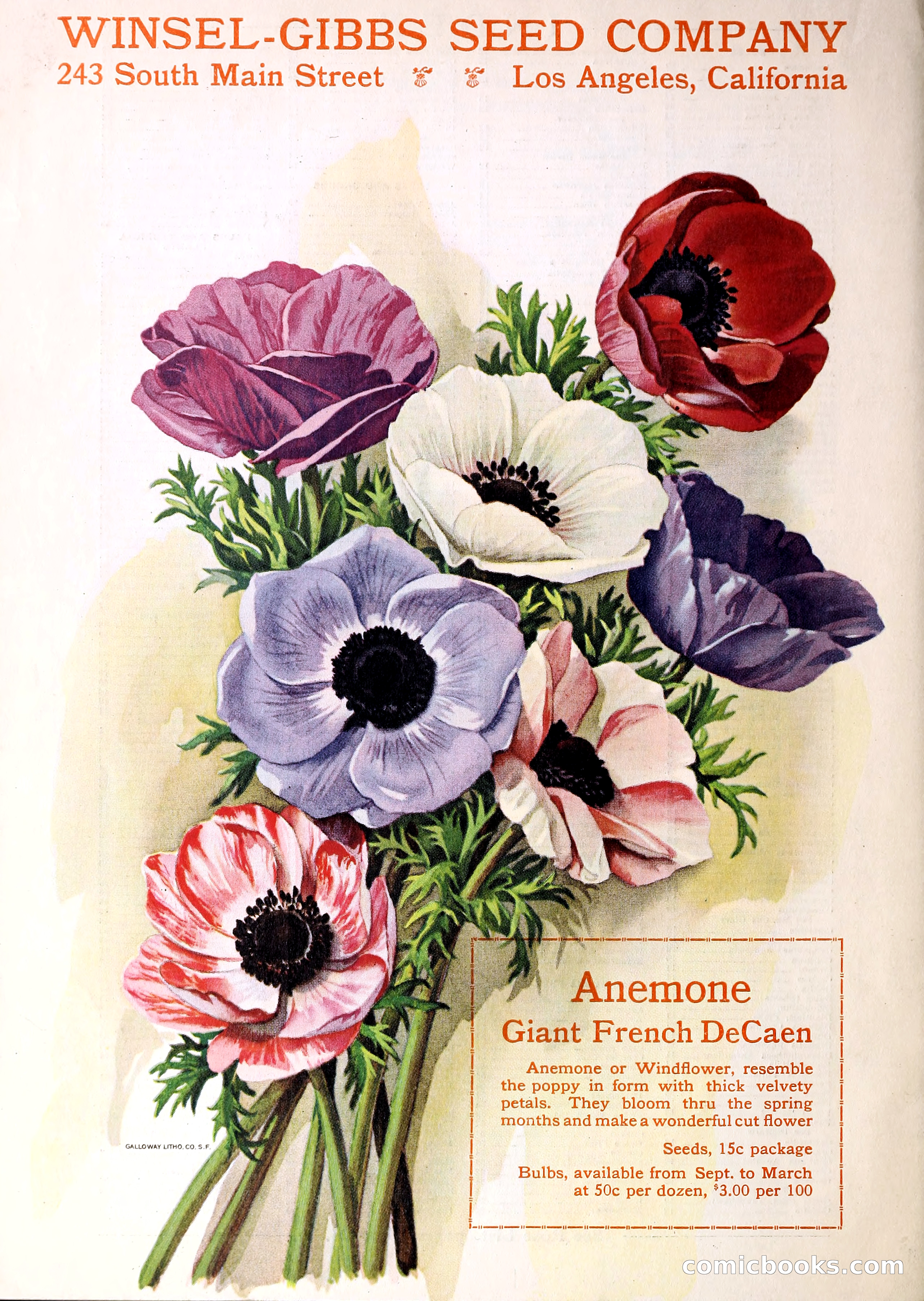 Blue Book of Gardening — page 71 of 69