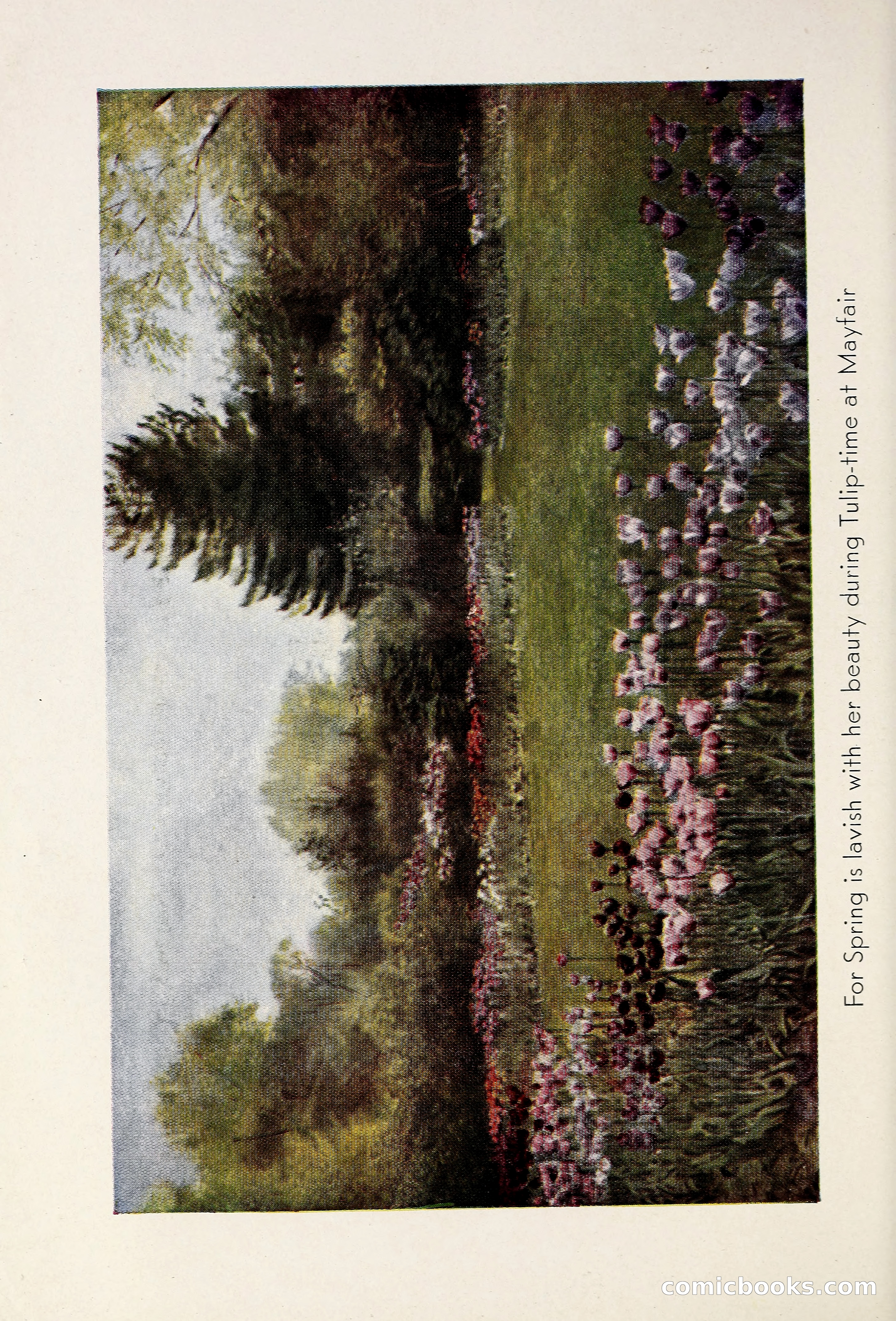 Blue Book of Bulbs, 1931 — page 7 of 142