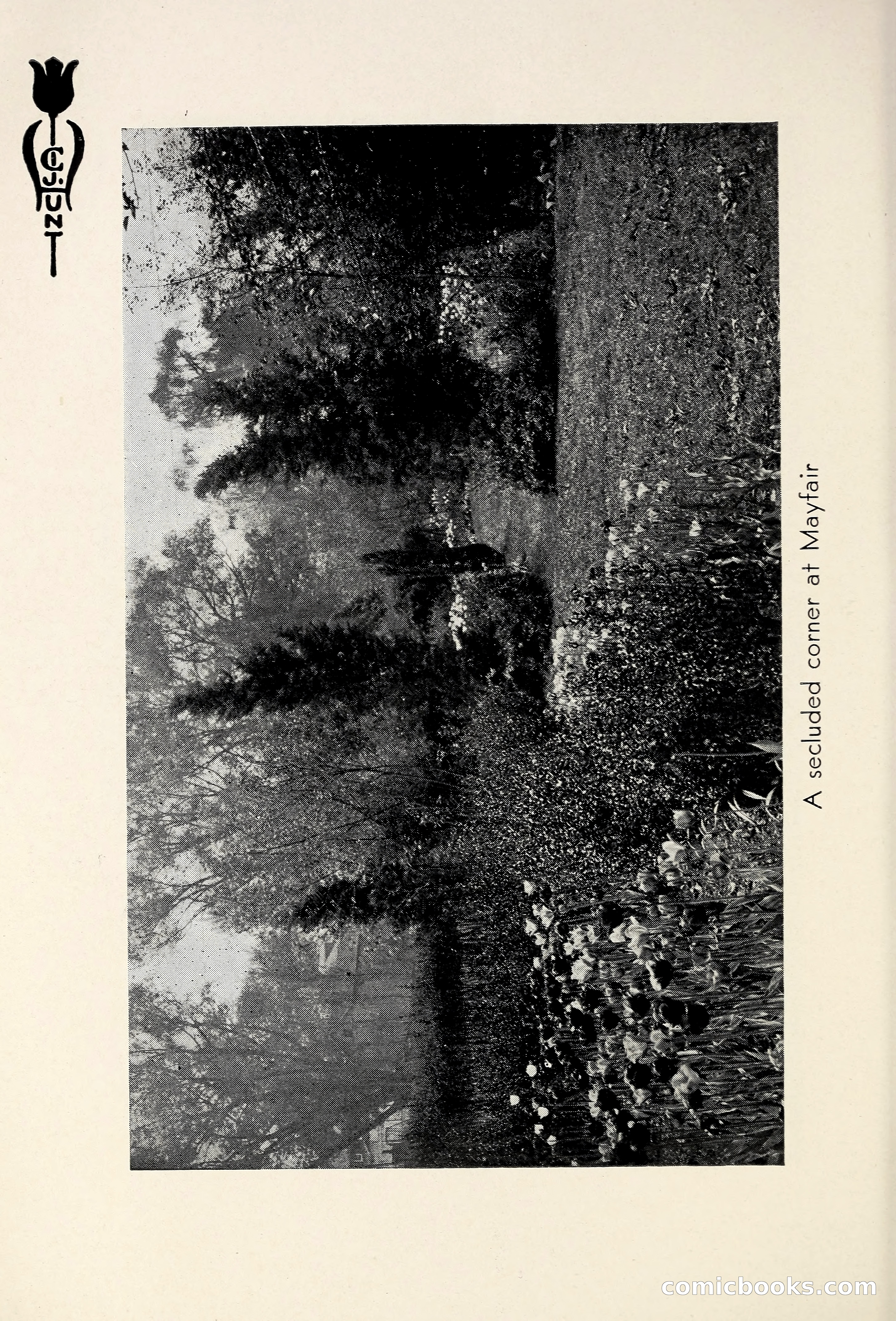 Blue Book of Bulbs, 1931 — page 17 of 142