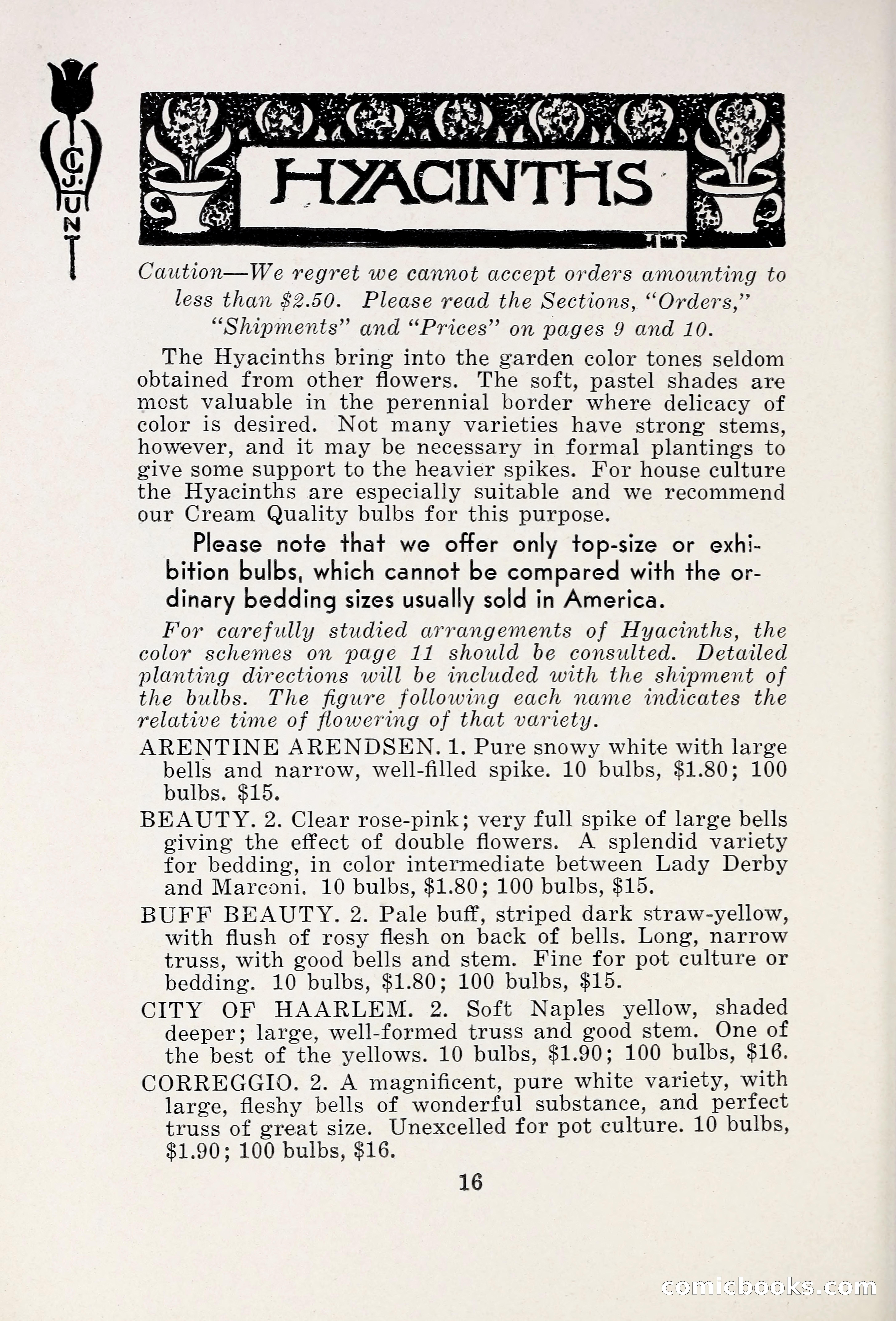 Blue Book of Bulbs, 1931 — page 21 of 142