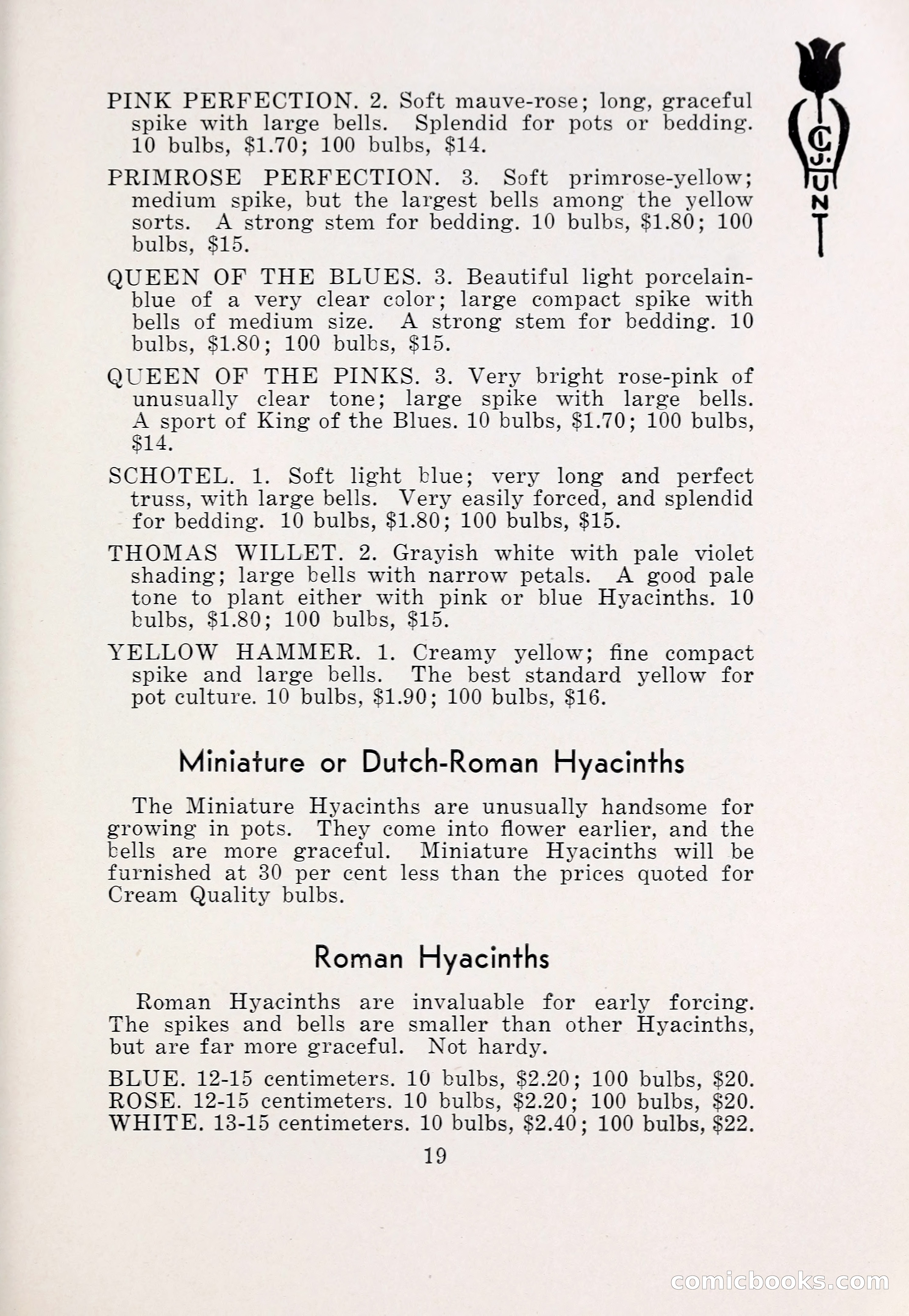 Blue Book of Bulbs, 1931 — page 24 of 142