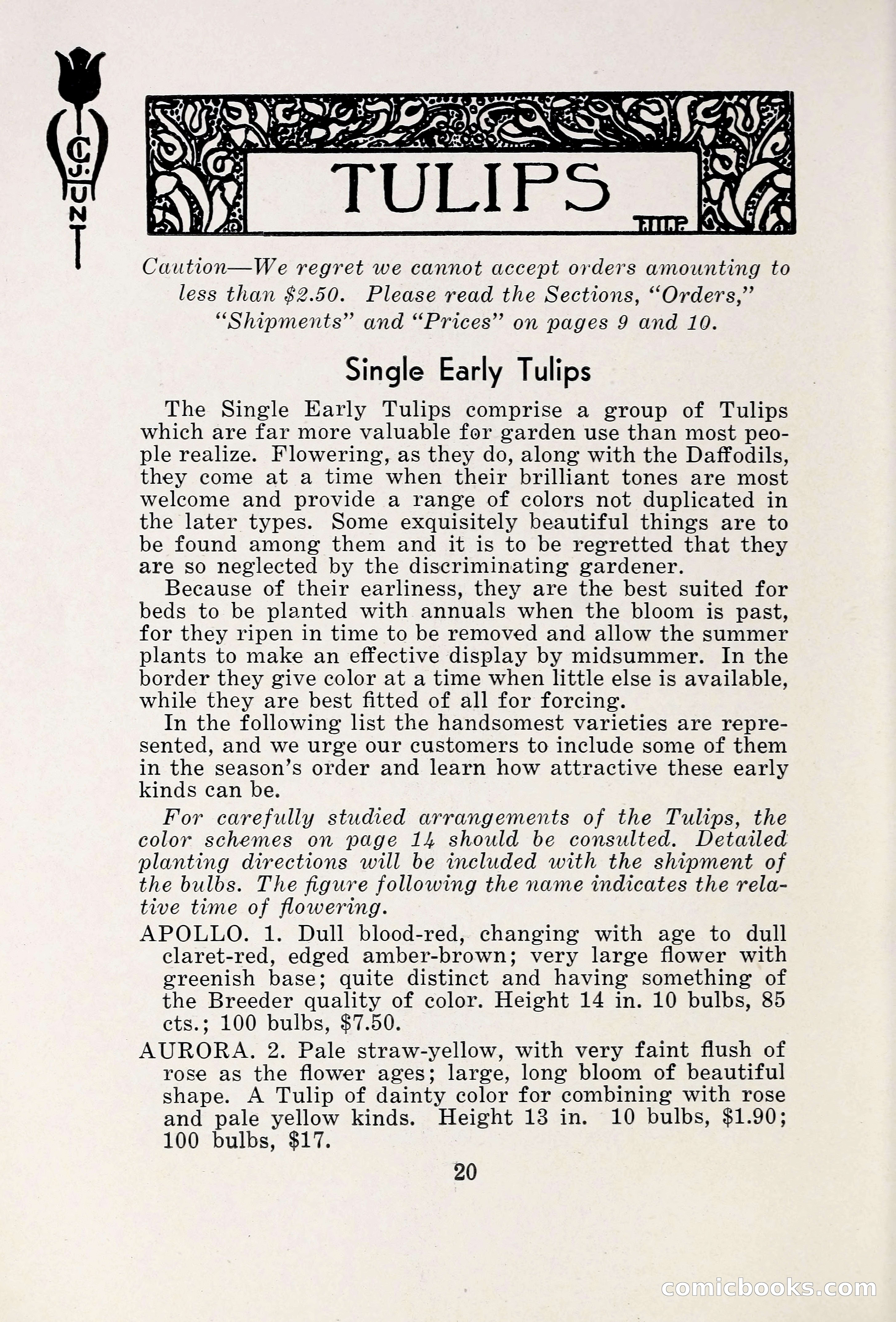 Blue Book of Bulbs, 1931 — page 25 of 142