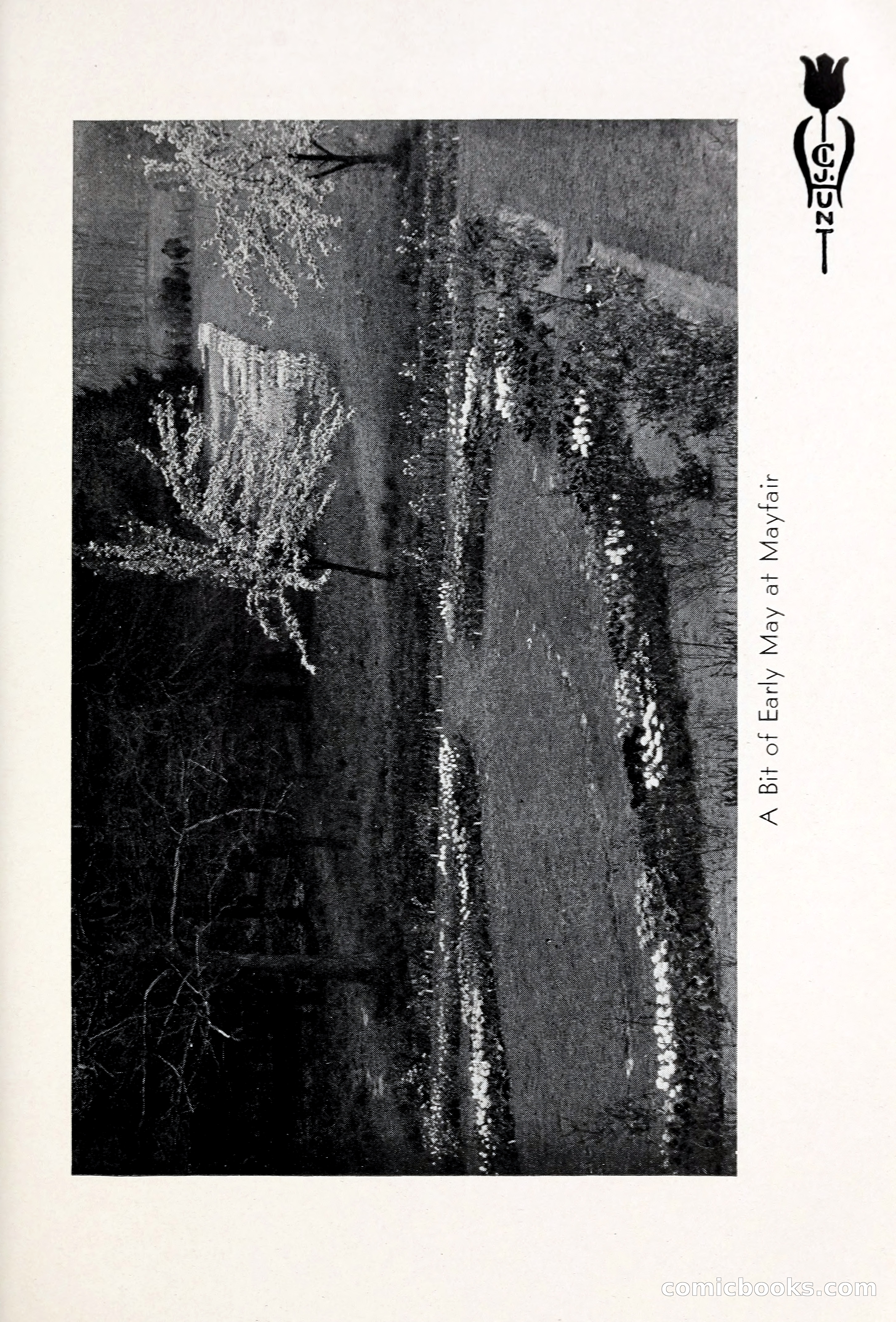 Blue Book of Bulbs, 1931 — page 26 of 142