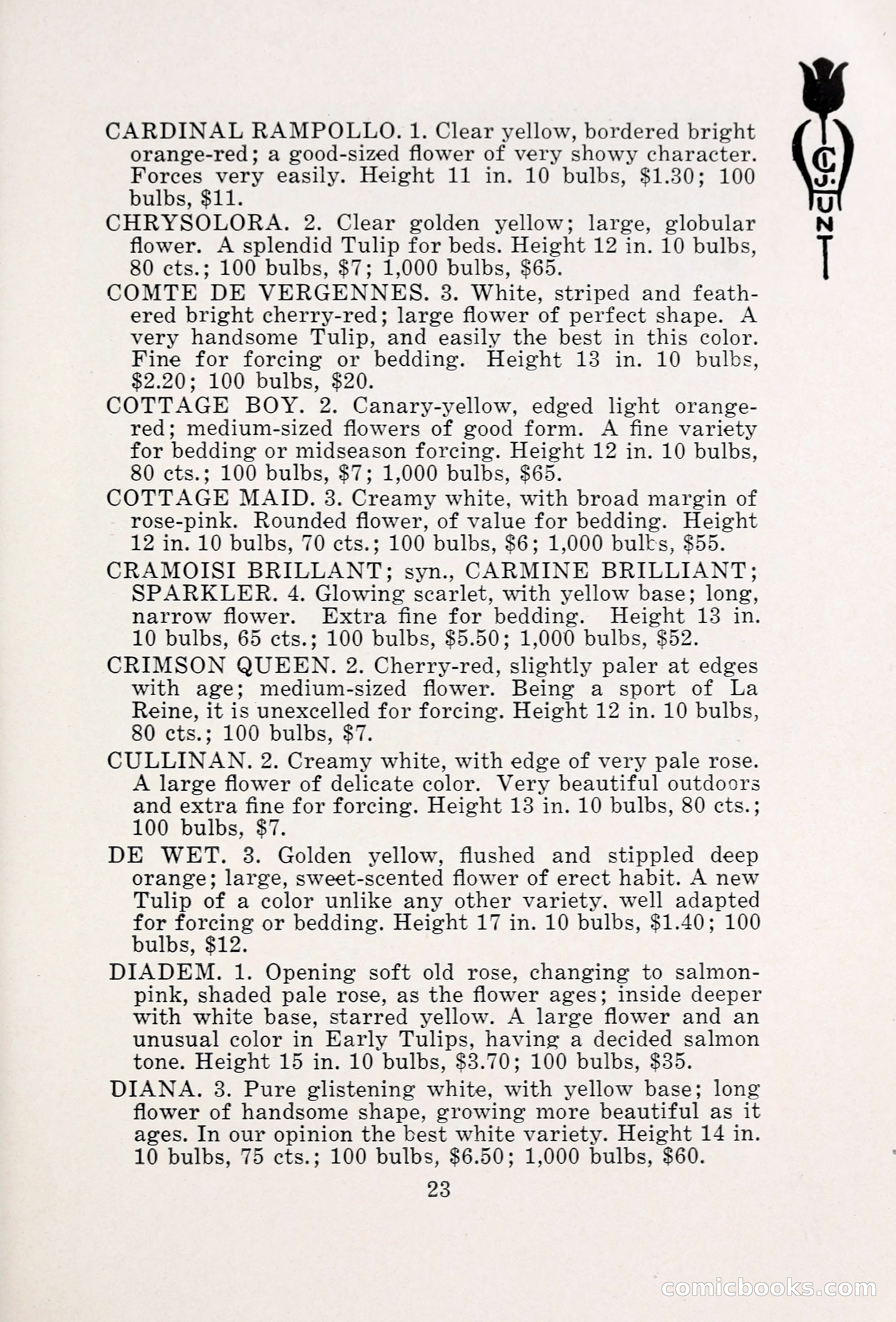 Blue Book of Bulbs, 1931 — page 28 of 142