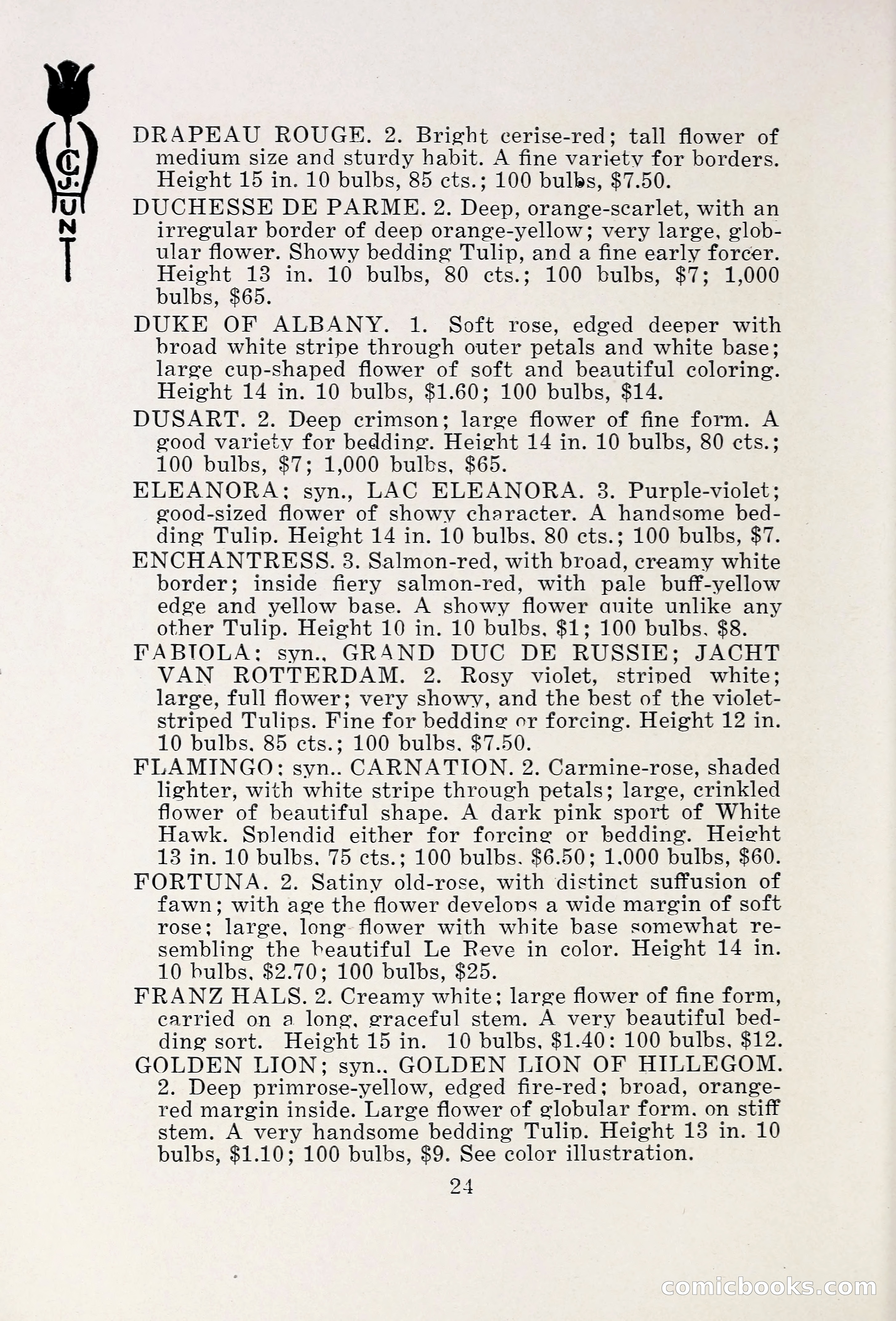 Blue Book of Bulbs, 1931 — page 29 of 142