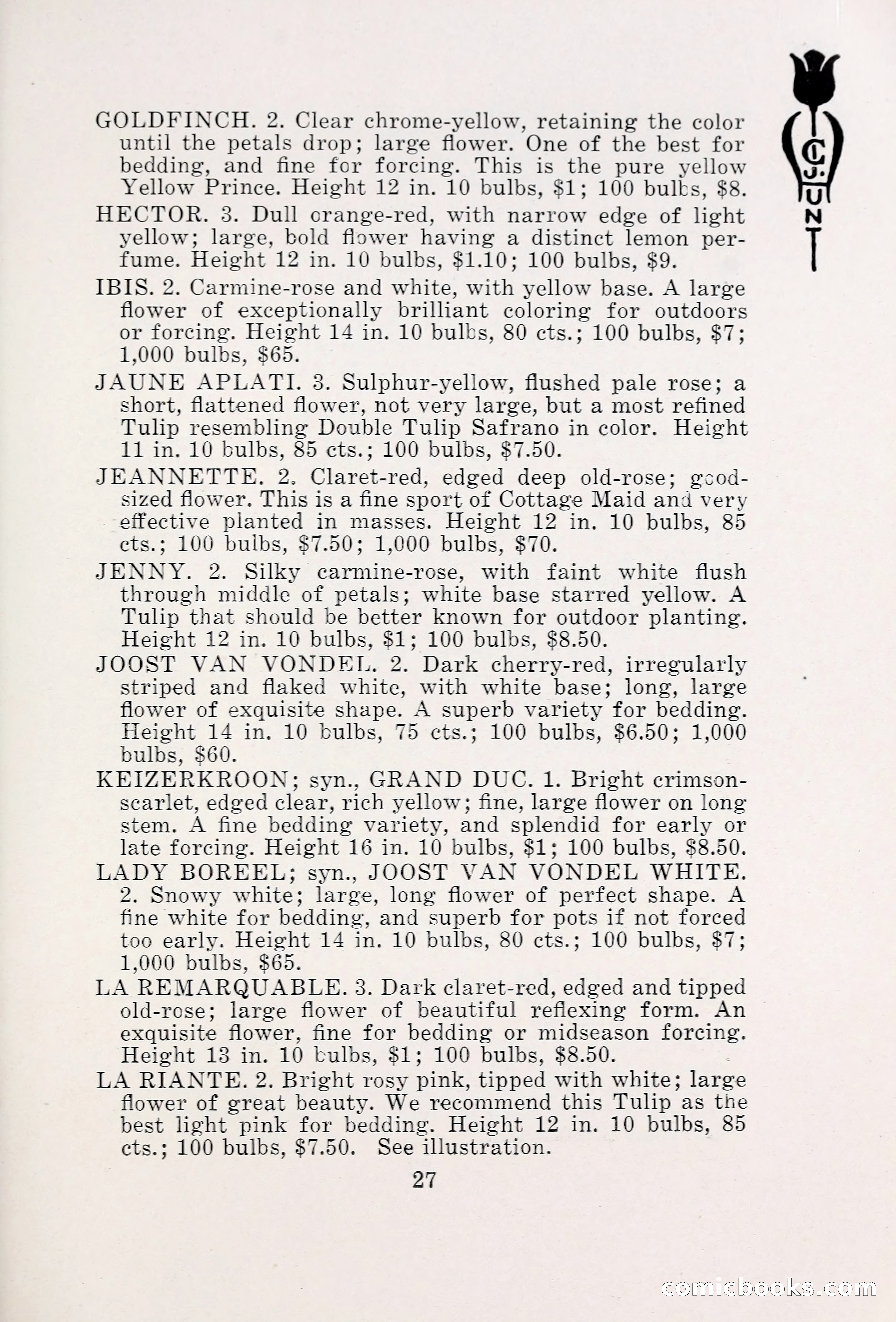 Blue Book of Bulbs, 1931 — page 32 of 142