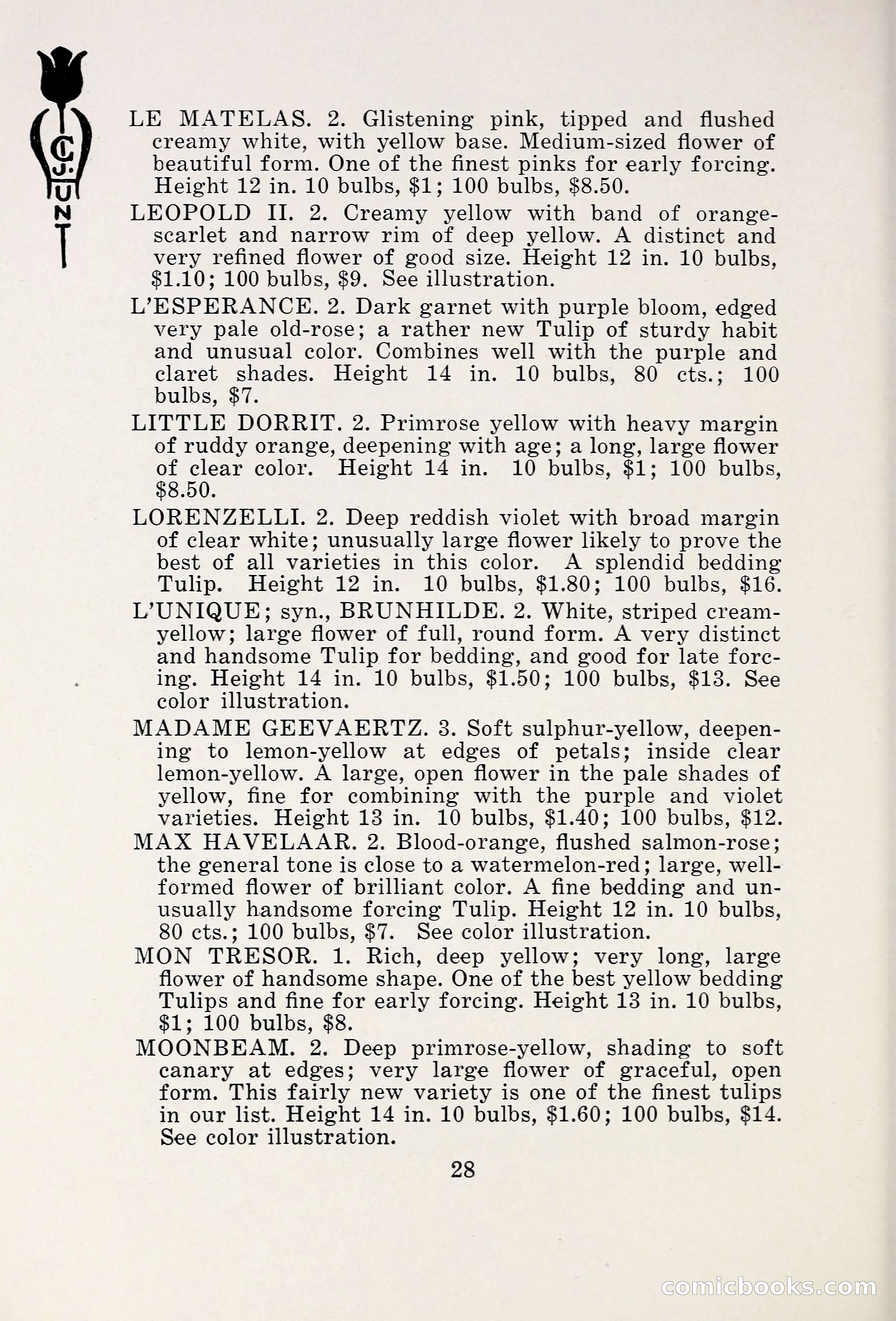 Blue Book of Bulbs, 1931 — page 33 of 142