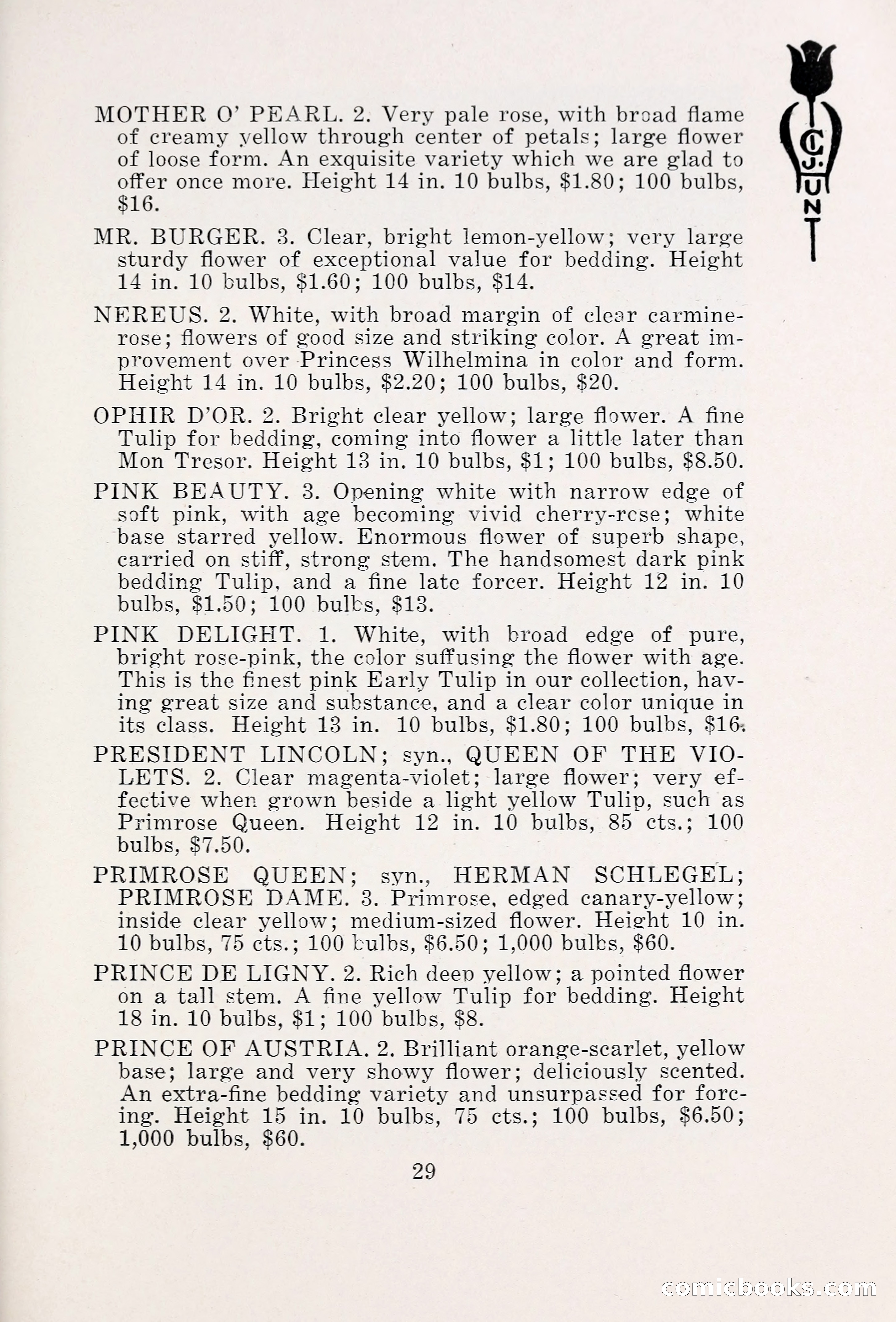 Blue Book of Bulbs, 1931 — page 34 of 142